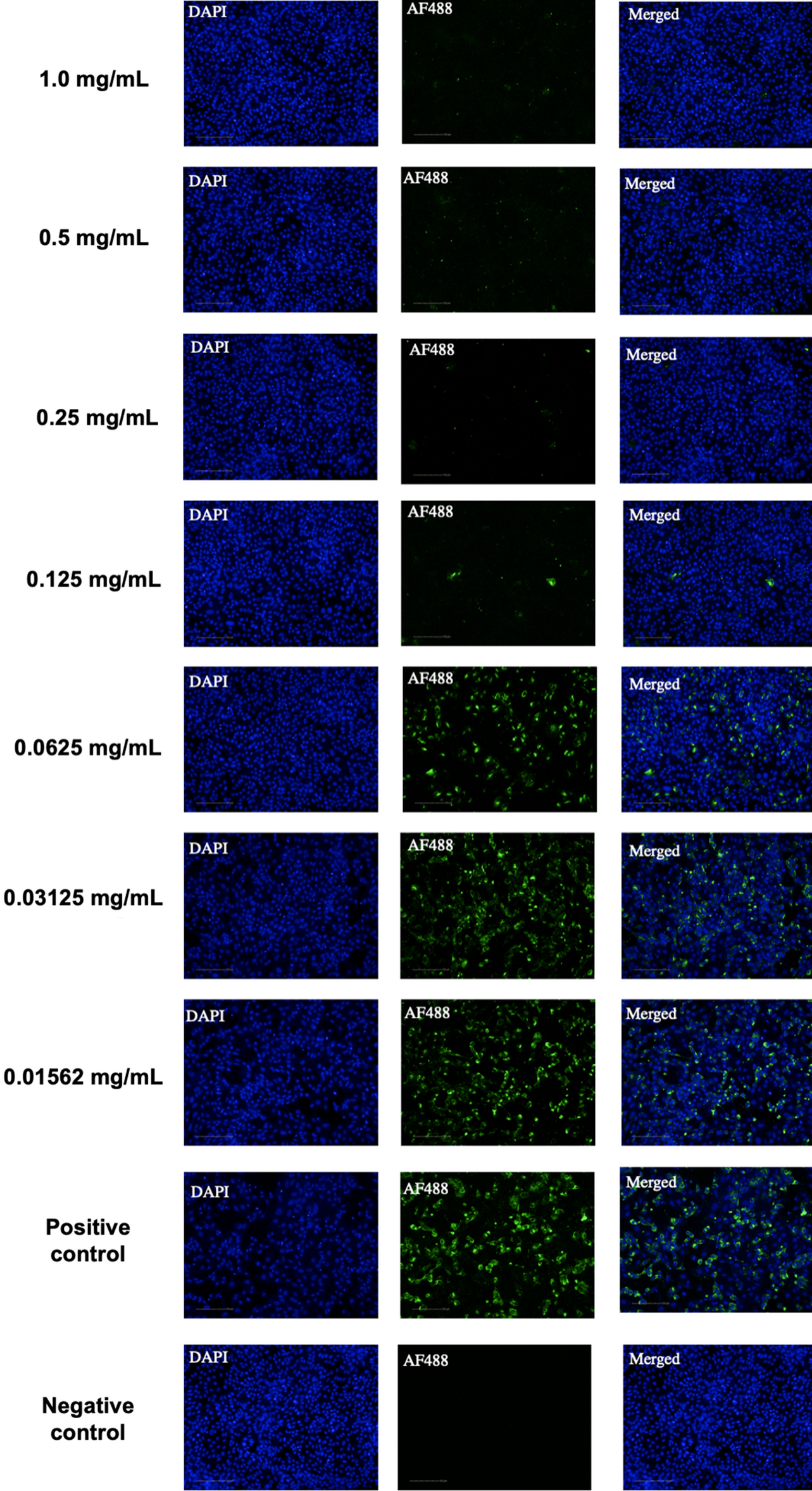 Beneficial effects of a mouthwash containing an antiviral phthalocyanine  derivative on the length of hospital stay for COVID-19: randomised trial |  Scientific Reports