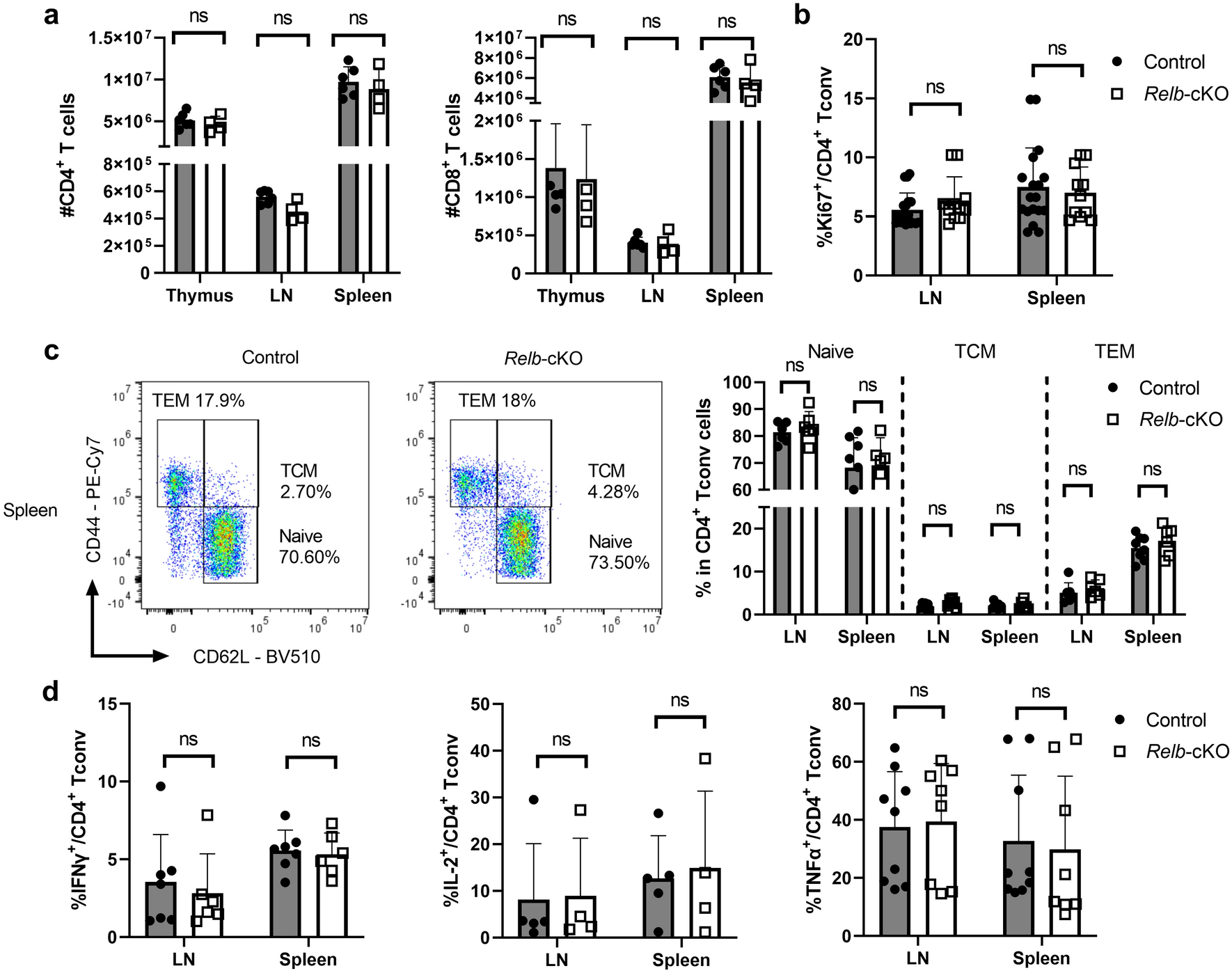 a t cell intrinsic function for nf kb relb in experimental autoimmune encephalomyelitis scientific reports