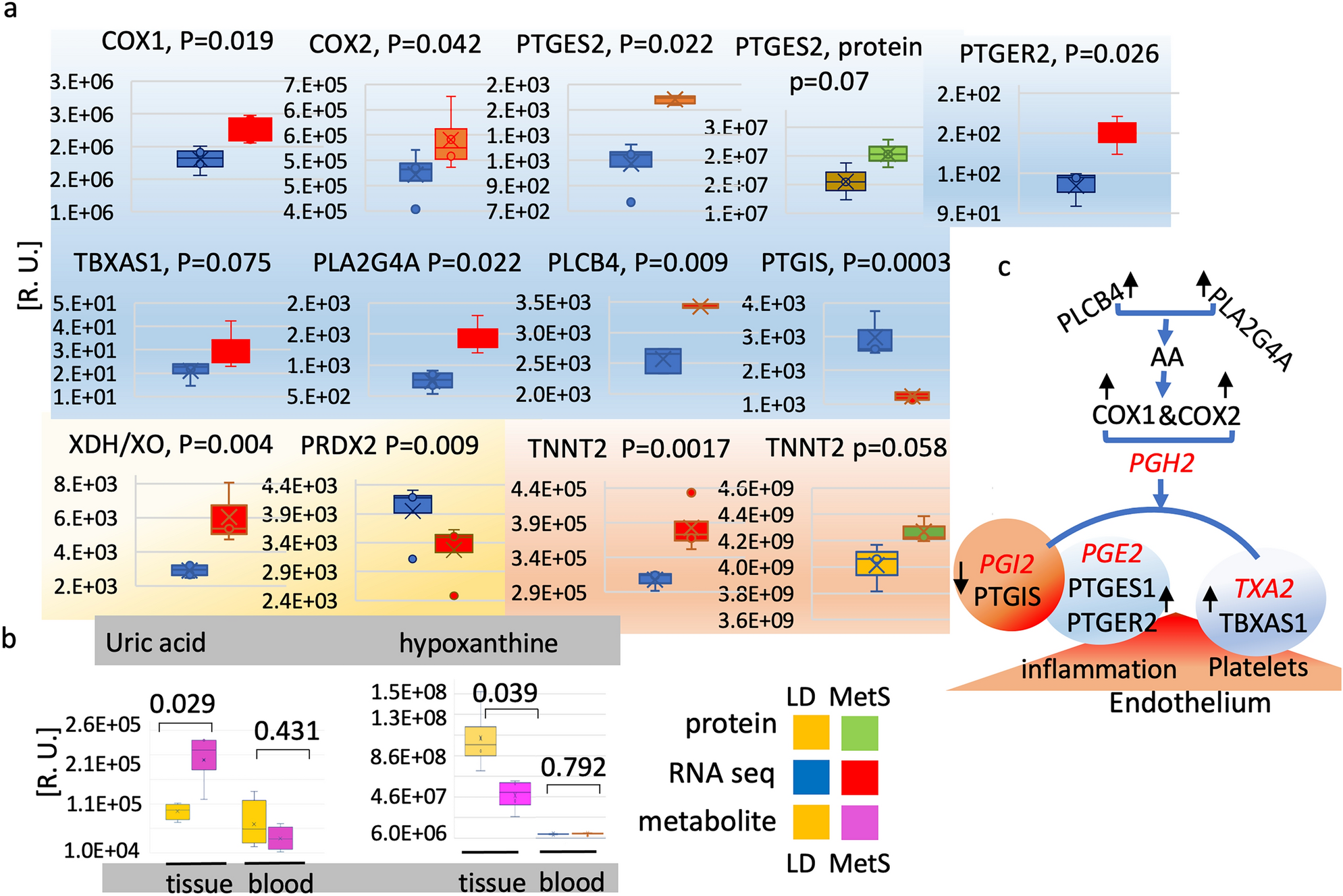 The cardiac molecular setting of metabolic syndrome in pigs reveals disease  susceptibility and suggests mechanisms that exacerbate COVID-19 outcomes in  patients | Scientific Reports