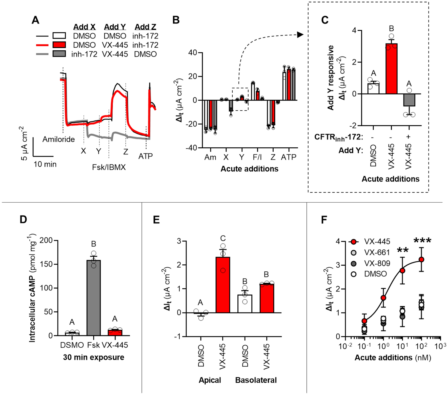 Elexacaftor is a CFTR potentiator and acts synergistically with ivacaftor  during acute and chronic treatment | Scientific Reports