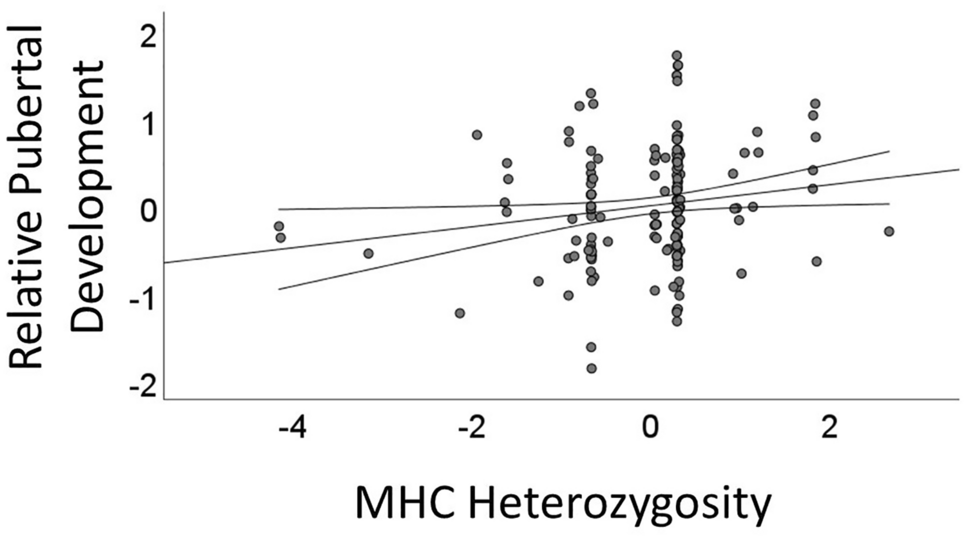 Heterozygosity of the major histocompatibility complex predicts later  self-reported pubertal maturation in men | Scientific Reports