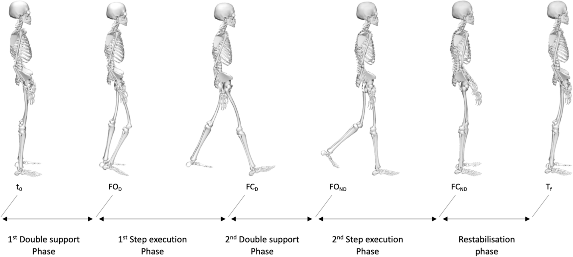 Segmental contribution to whole-body angular momentum during stepping in healthy young and old adults | Scientific Reports Segmental contribution to whole-body angular momentum during stepping in healthy young and old adults | Scientific Reports