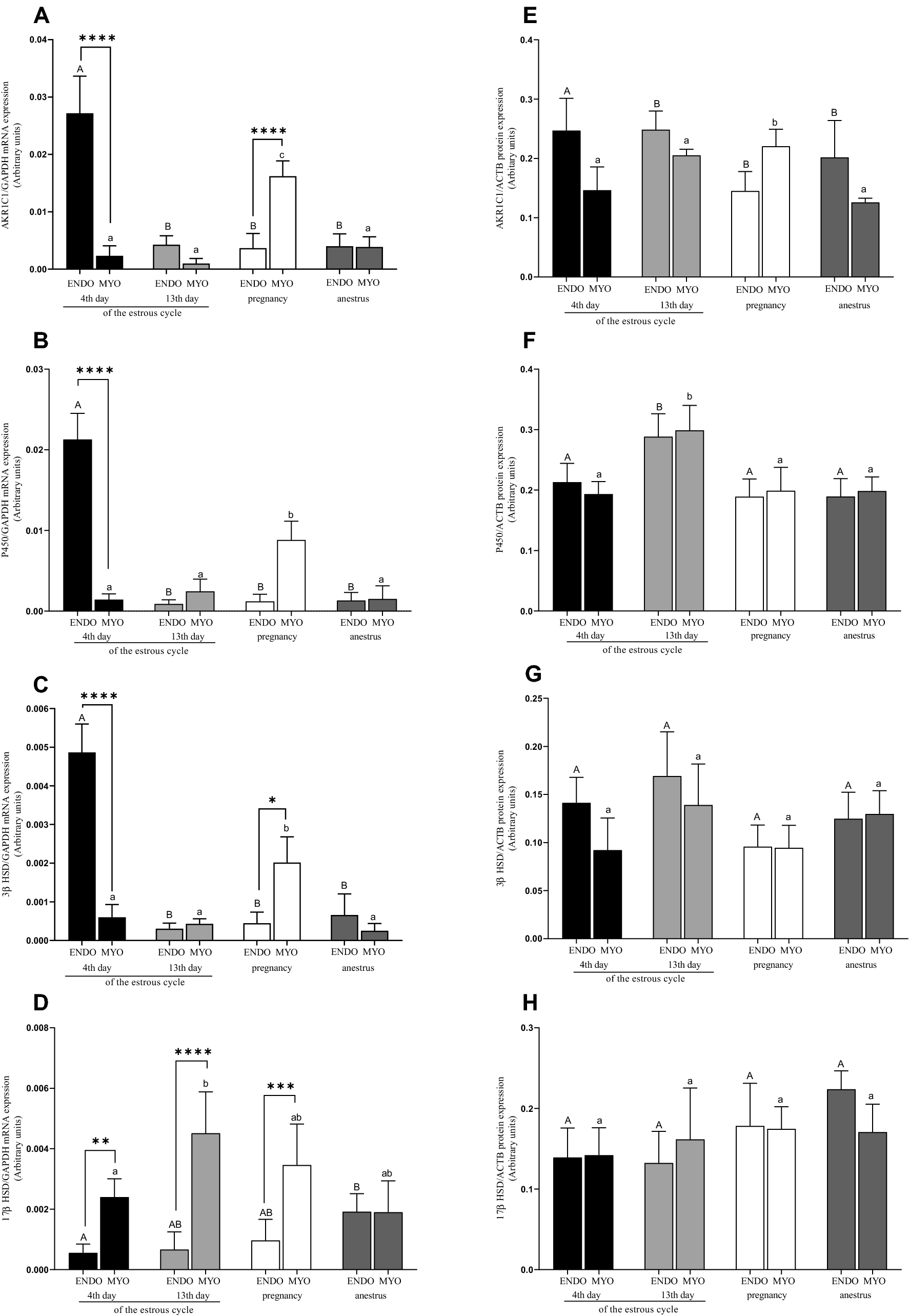 Regulation of uterine function during estrous cycle, anestrus phase and  pregnancy by steroids in red deer (Cervus elaphus L.) | Scientific Reports