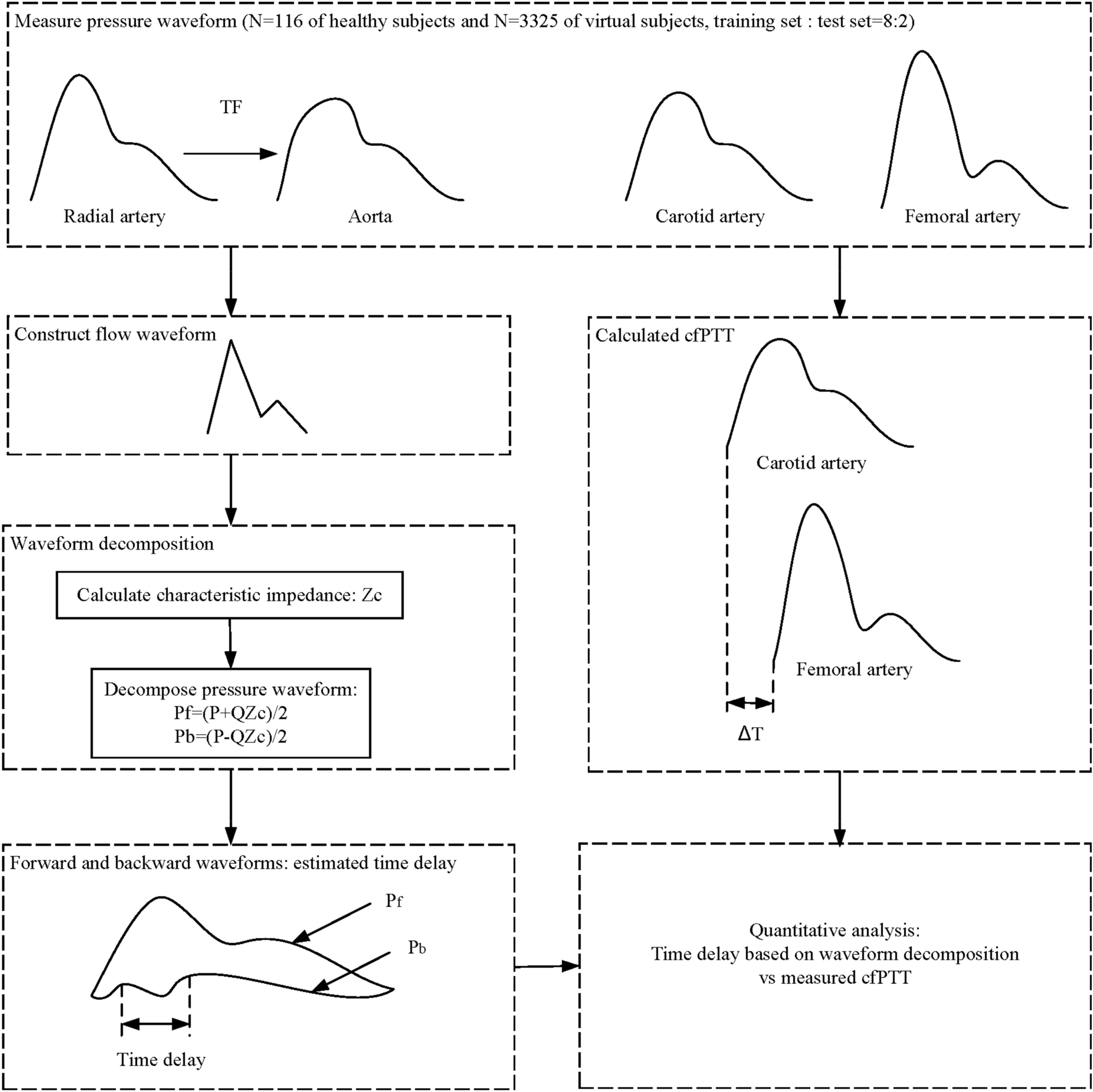 Determination of aortic pulse transit time based on waveform decomposition  of radial pressure wave | Scientific Reports
