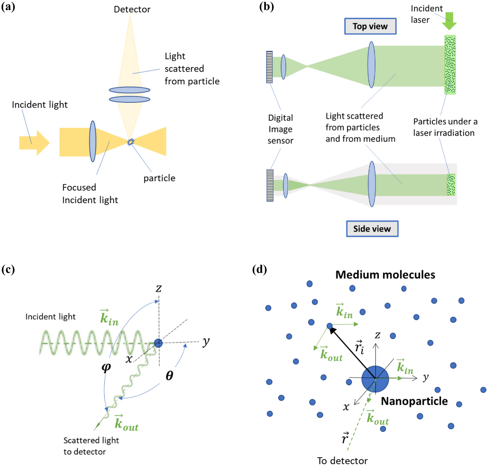 Detection of nanoparticles suspended in a light scattering medium |  Scientific Reports