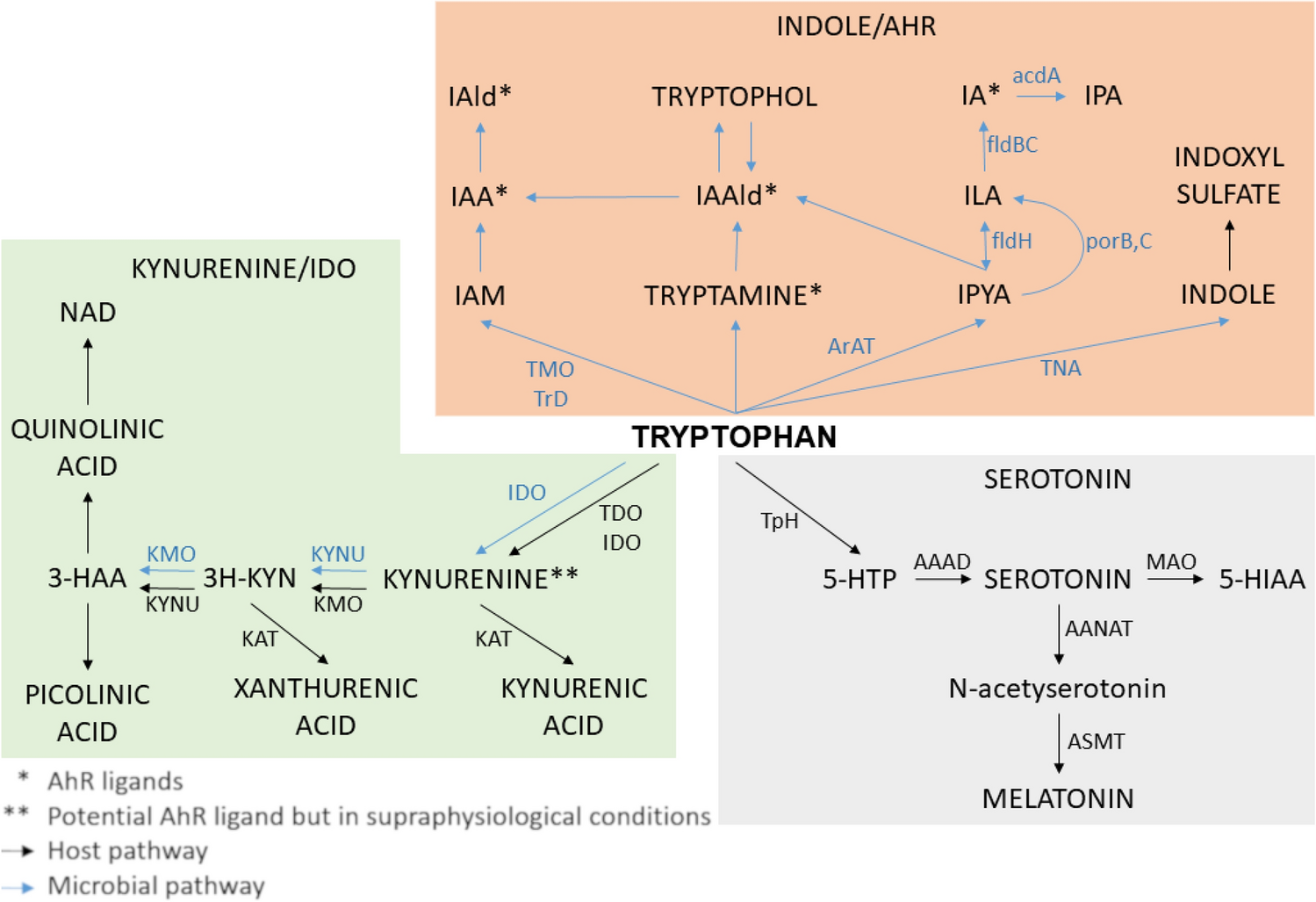 Indoxyl sulfate, a gut microbiome-derived uremic toxin, is associated with  psychic anxiety and its functional magnetic resonance imaging-based  neurologic signature | Scientific Reports