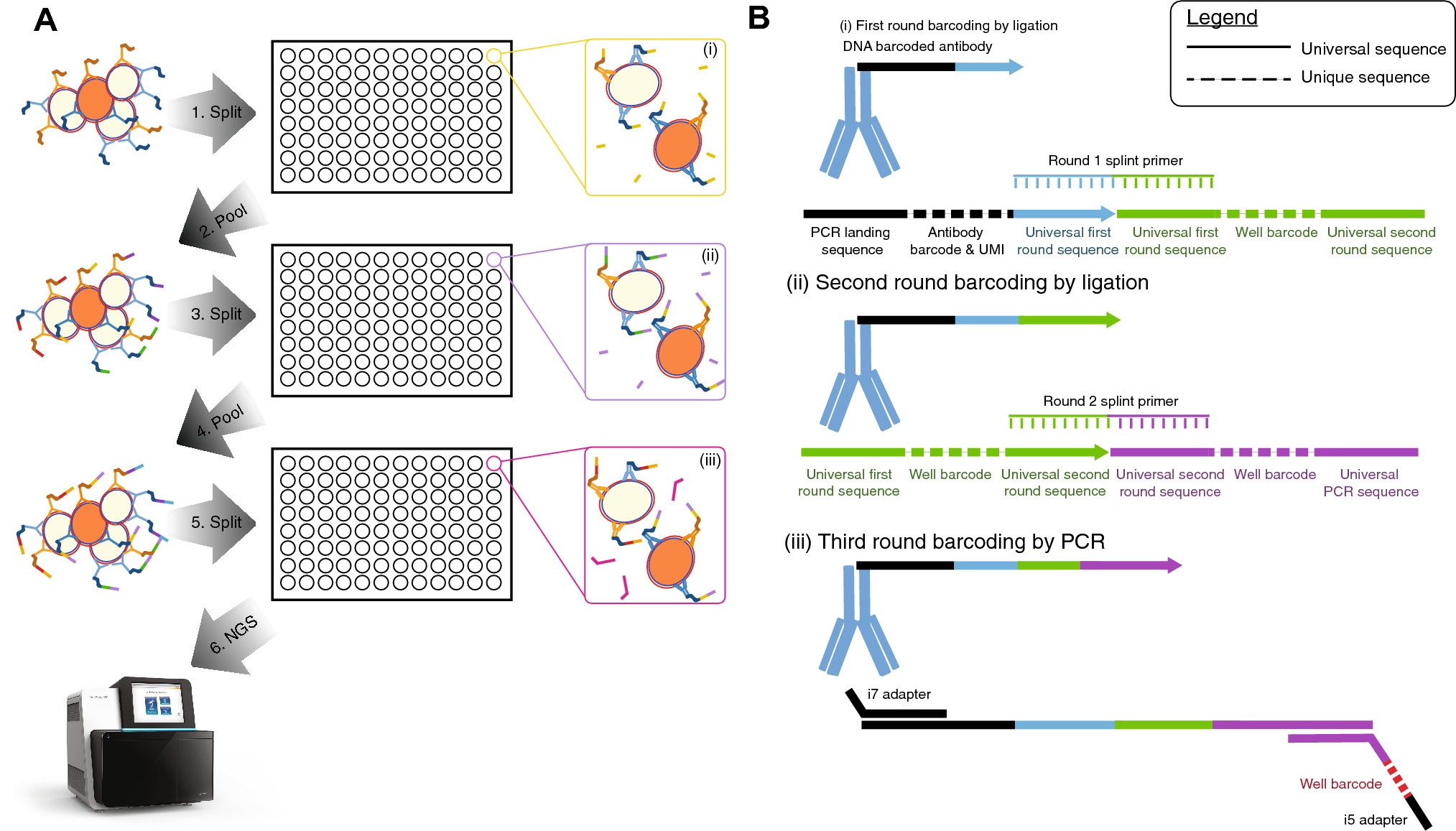 Quantifying Protein Abundance On Single Cells Using Split Pool Sequencing On Dna Barcoded Antibodies For Diagnostic Applications Scientific Reports