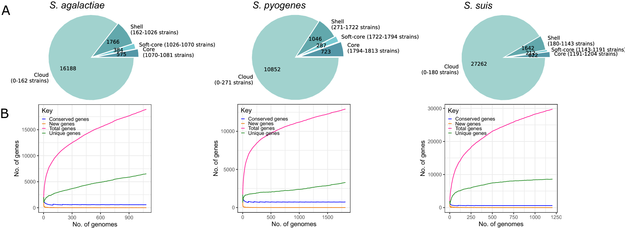 Model of exchange of the DNA region flanked by oriT and Xer