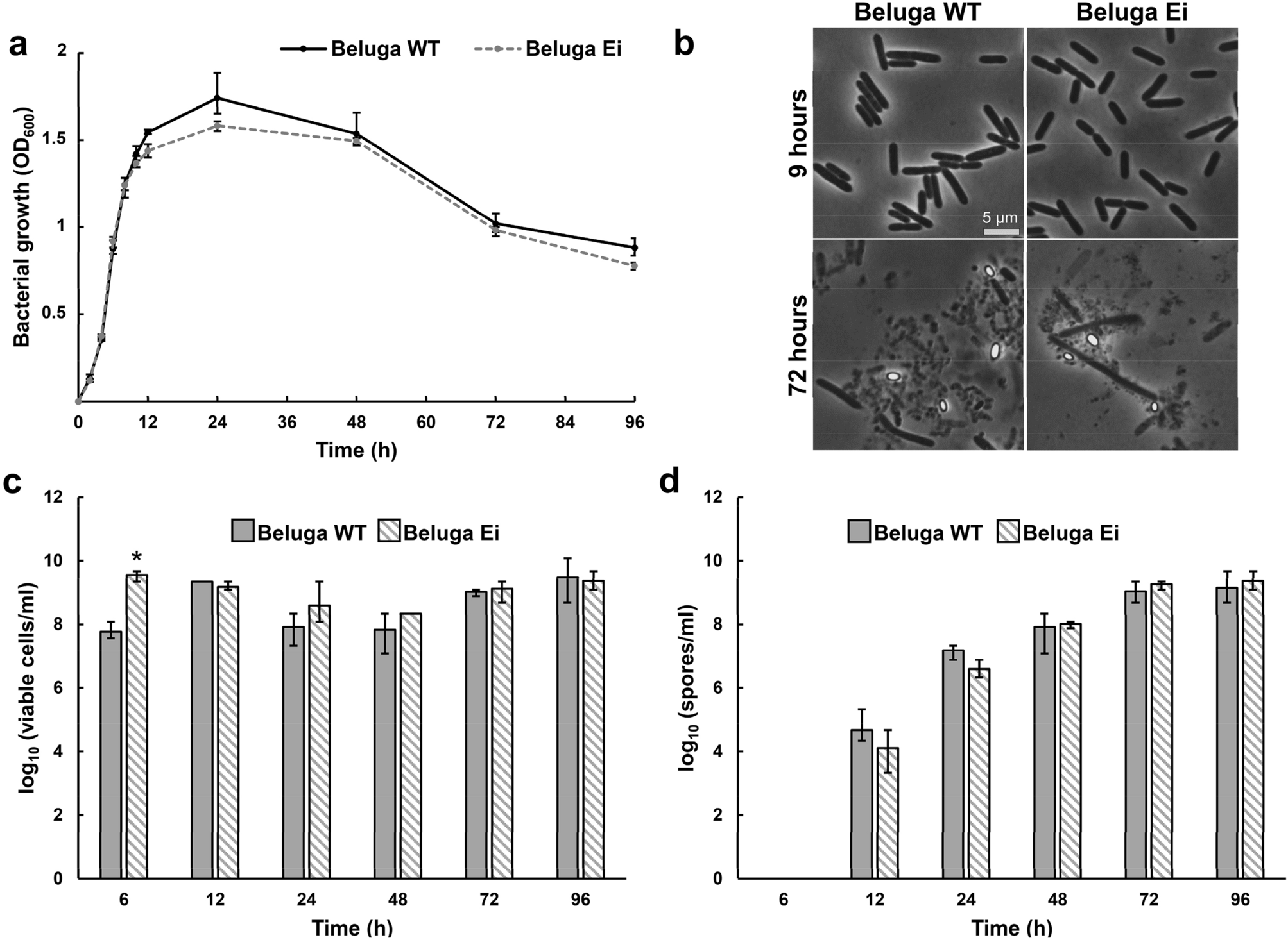 Construction and validation of safe Clostridium botulinum Group II  surrogate strain producing inactive botulinum neurotoxin type E toxoid |  Scientific Reports