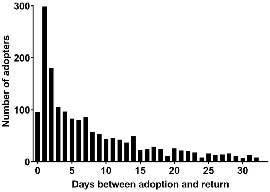 how many dogs get adopted each year