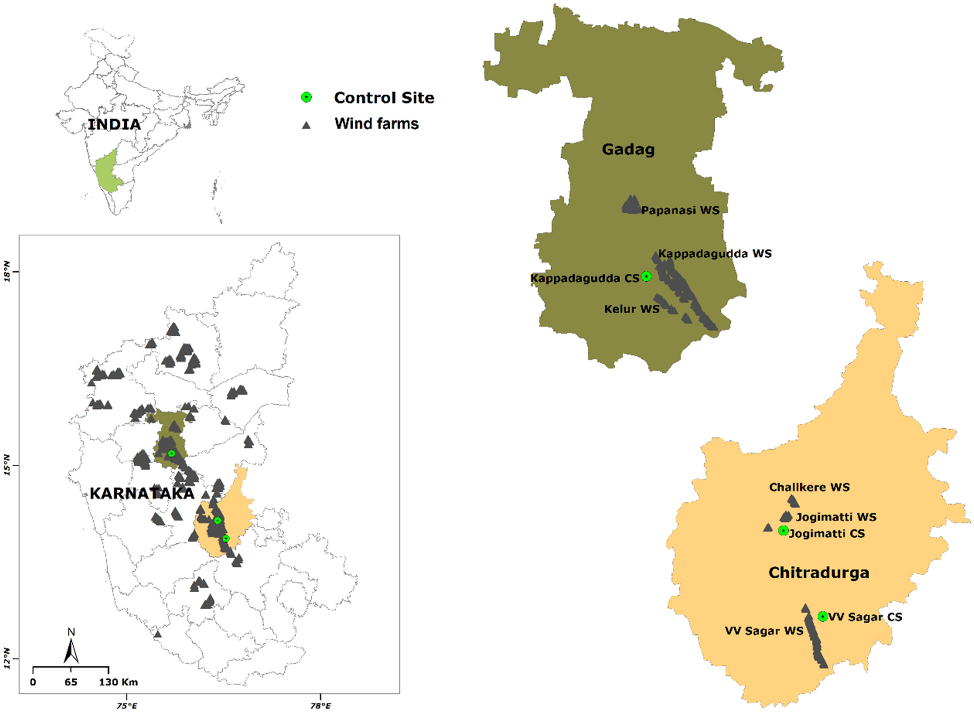 Responses of birds and mammals to long-established wind farms in India |  Scientific Reports