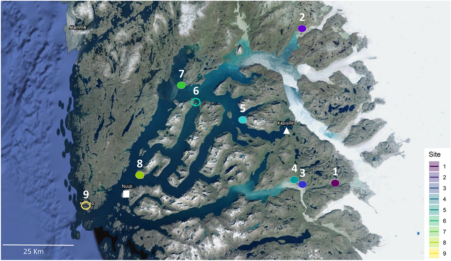 Influences of summer warming and nutrient availability Salix glauca L. growth in along an ice to sea gradient | Scientific Reports