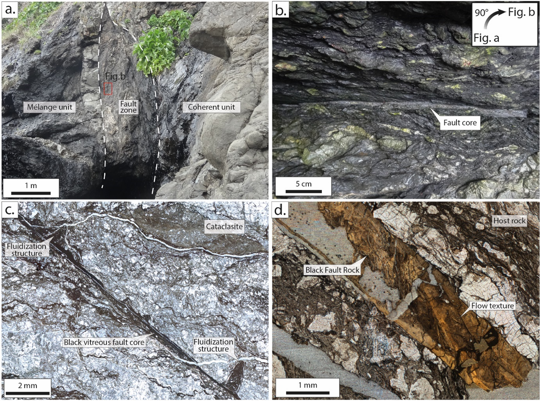 The impact of melt versus mechanical wear on the formation of  pseudotachylyte veins in accretionary complexes | Scientific Reports