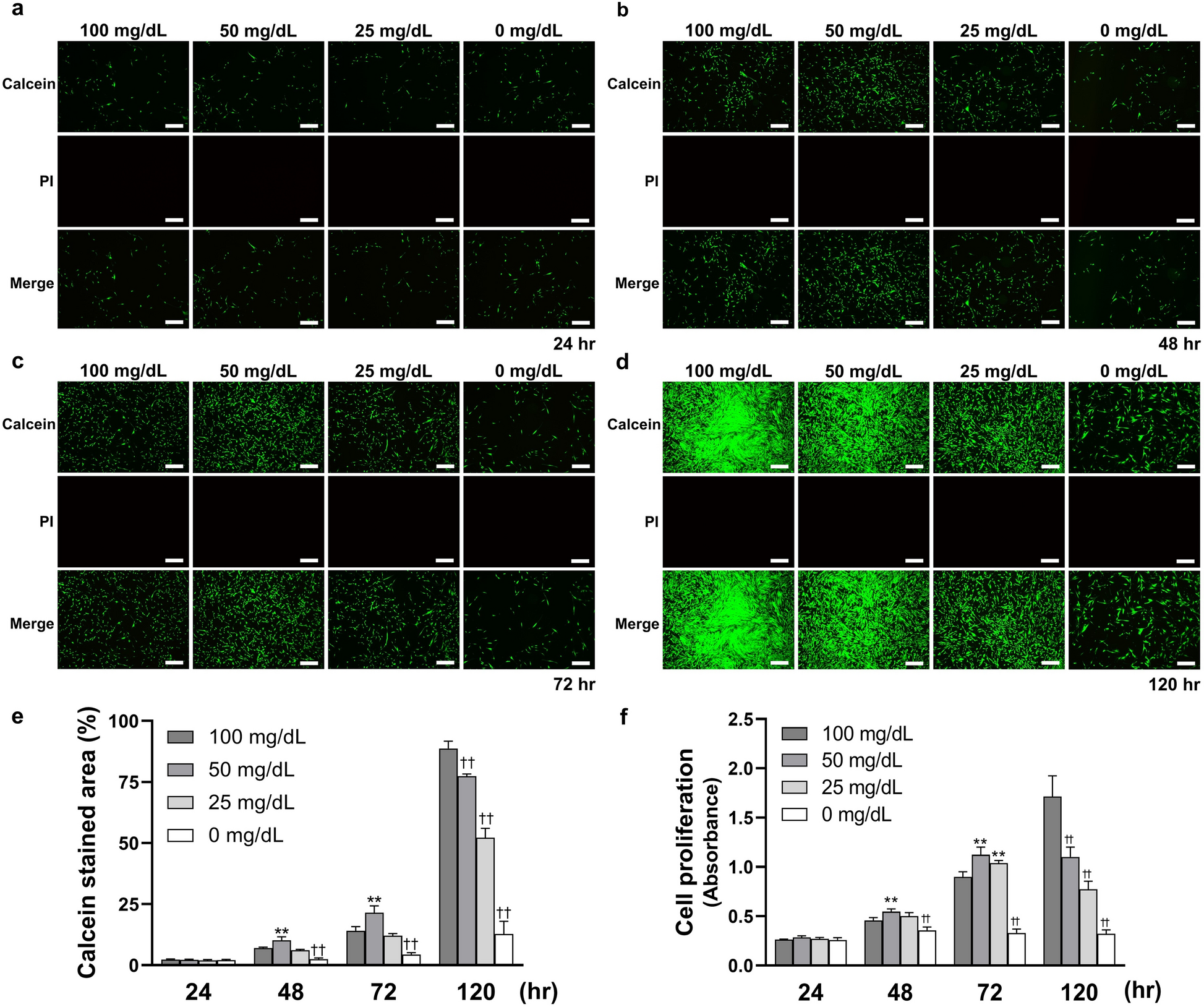 Intracellular Glucose Starvation Affects Gingival Homeostasis And Autophagy Scientific Reports