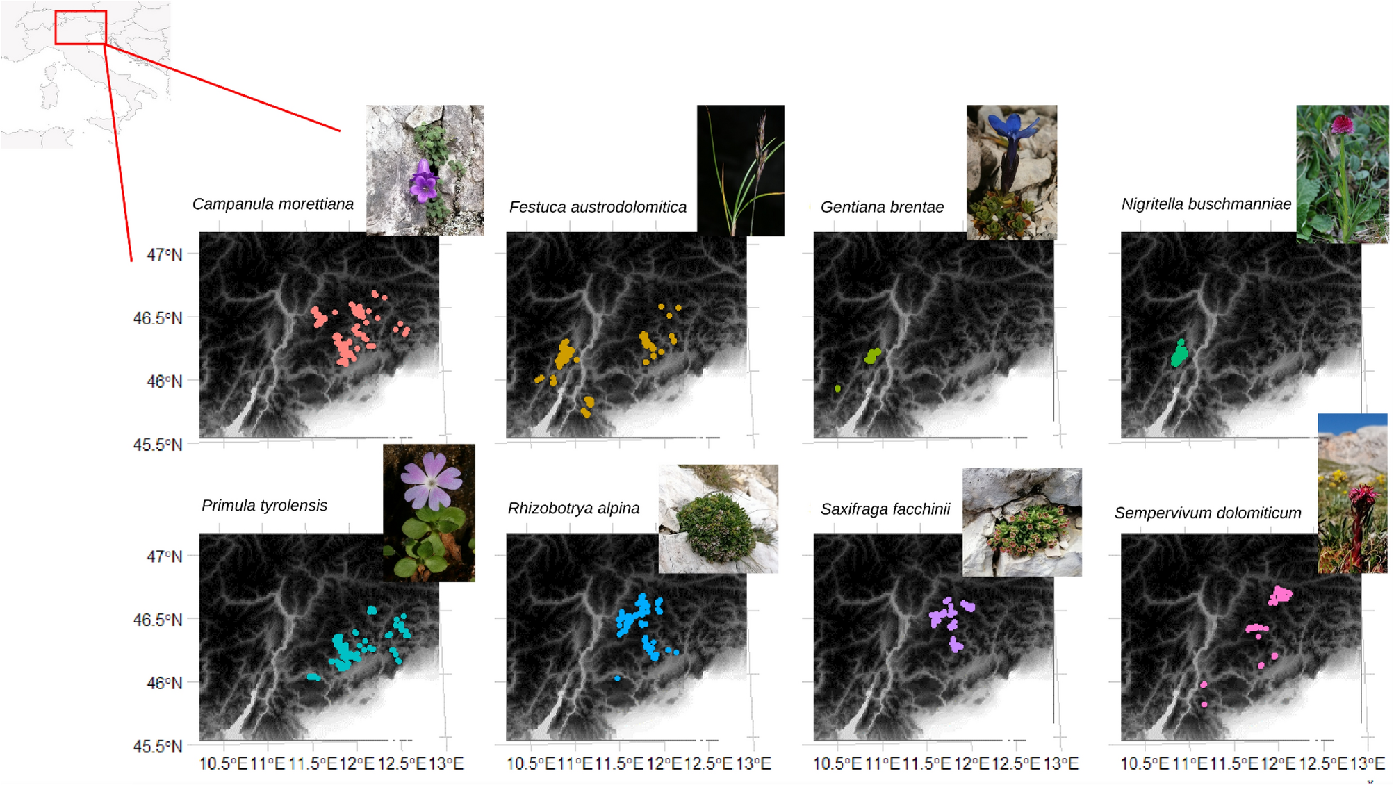 Topography of the Dolomites modulates range dynamics of narrow endemic  plants under climate change | Scientific Reports