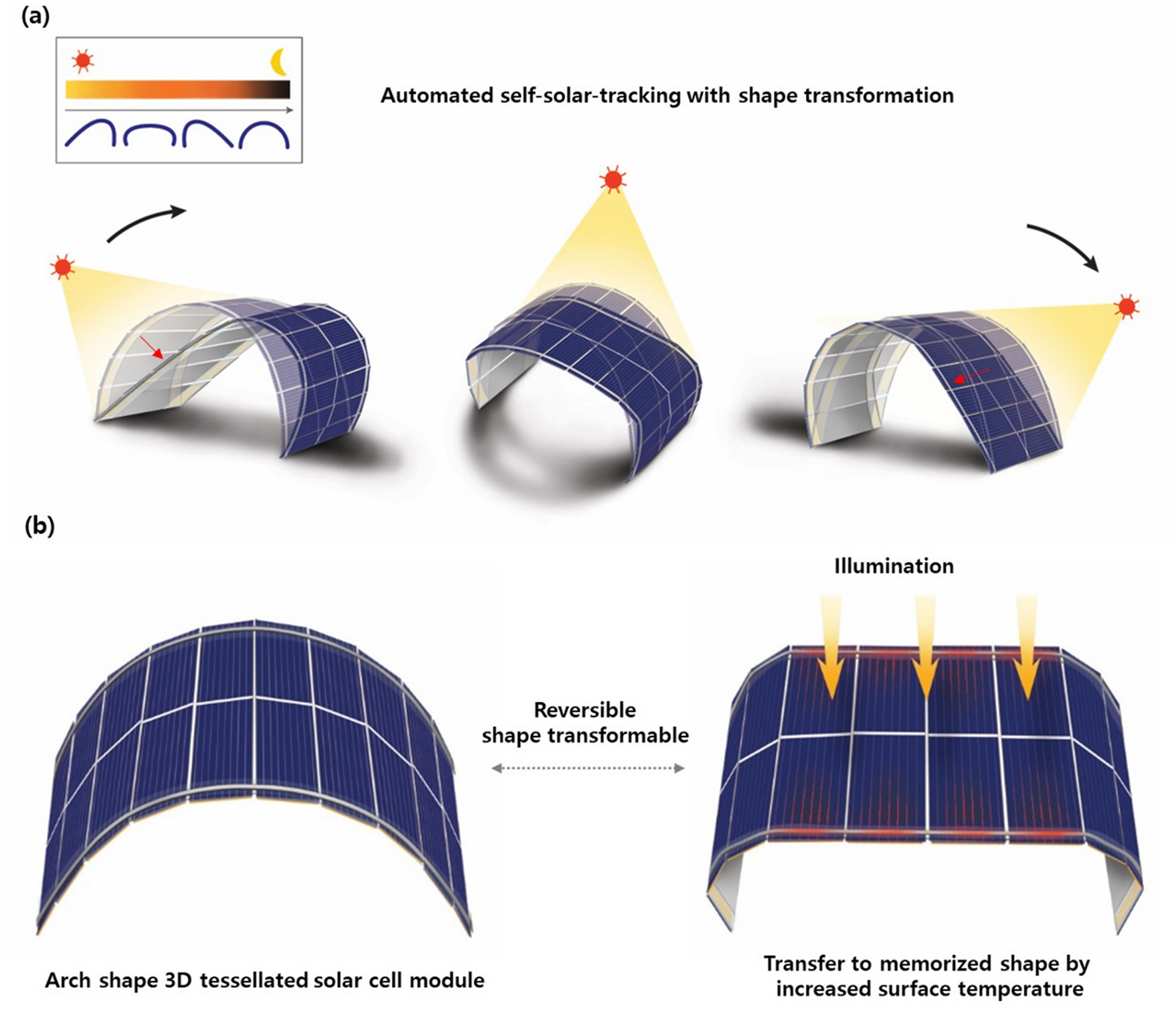 Automated shape-transformable self-solar-tracking tessellated crystalline  Si solar cells using in-situ shape-memory-alloy actuation