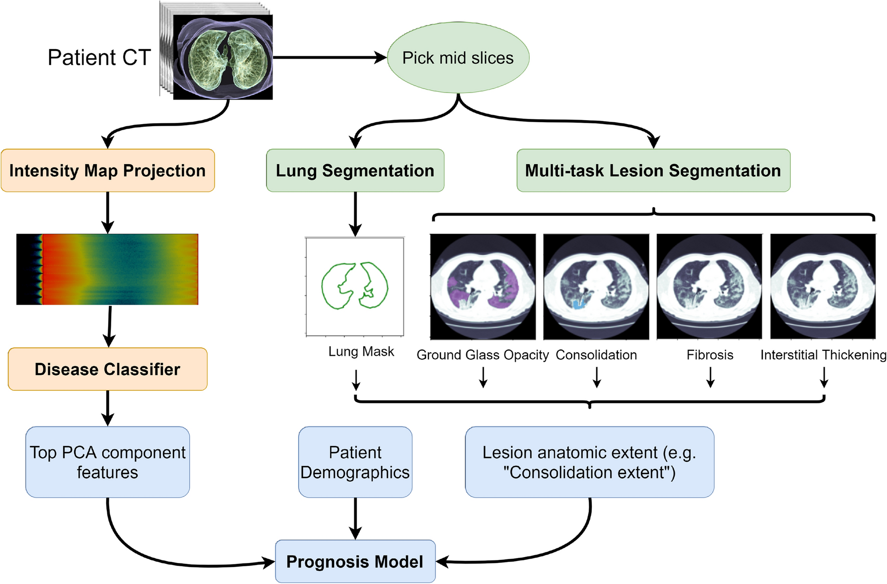 Effective deep learning approaches for predicting COVID-19 outcomes from  chest computed tomography volumes | Scientific Reports