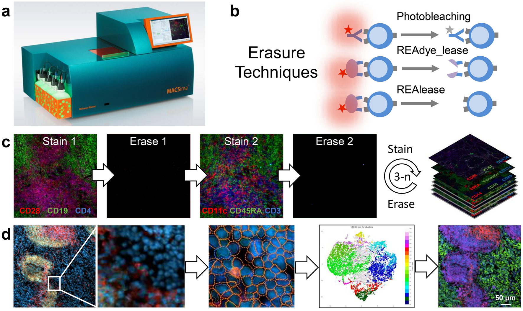 MACSima imaging cyclic staining (MICS) technology reveals combinatorial  target pairs for CAR T cell treatment of solid tumors | Scientific Reports