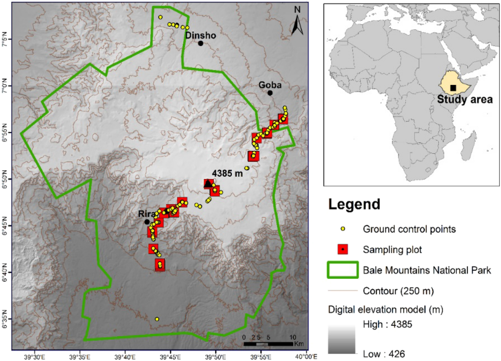Ericaceous vegetation of the Bale Mountains of Ethiopia will prevail in the  face of climate change | Scientific Reports