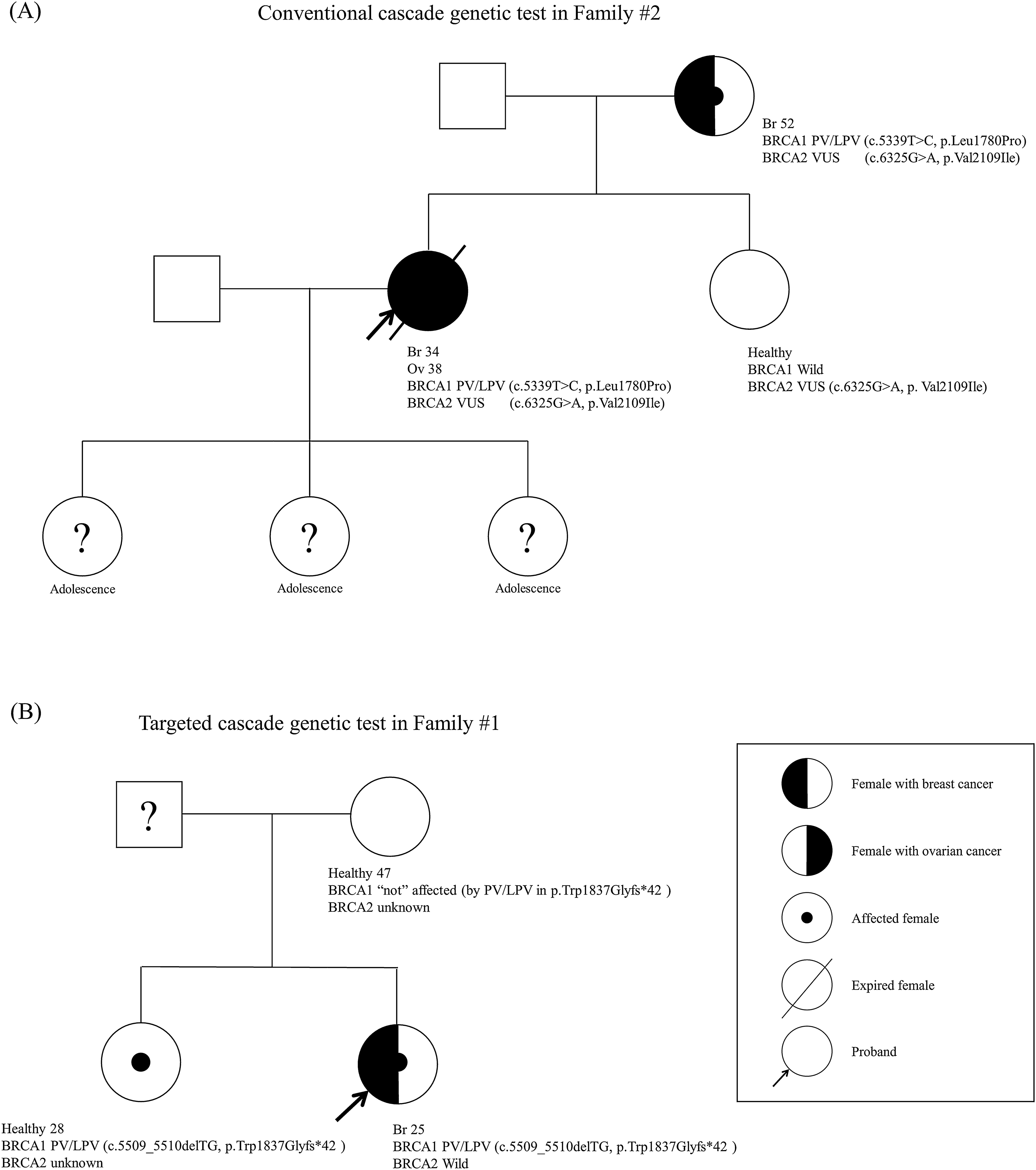 Feasibility of targeted cascade genetic testing in the family members of  BRCA1/2 gene pathogenic variant/likely pathogenic variant carriers |  Scientific Reports