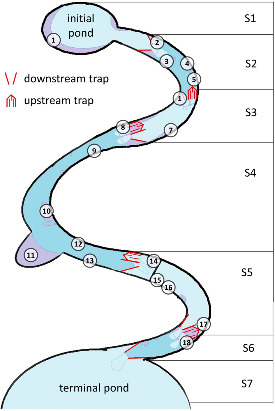 A near-natural experiment on factors influencing larval drift in Salamandra  salamandra | Scientific Reports