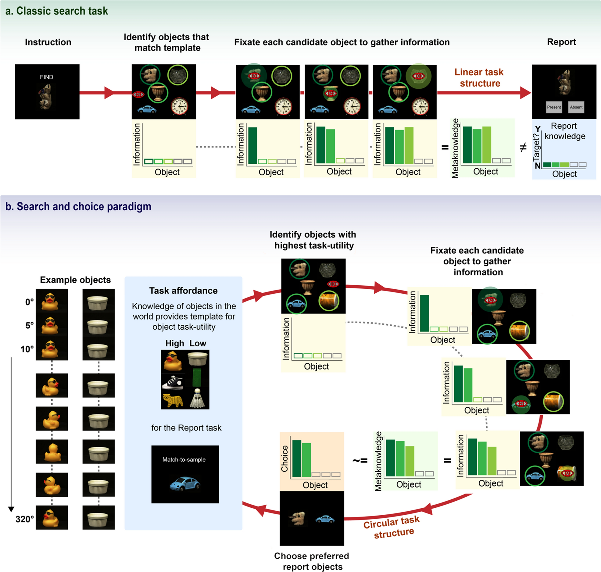 Humans represent the precision and utility of information acquired across  fixations | Scientific Reports
