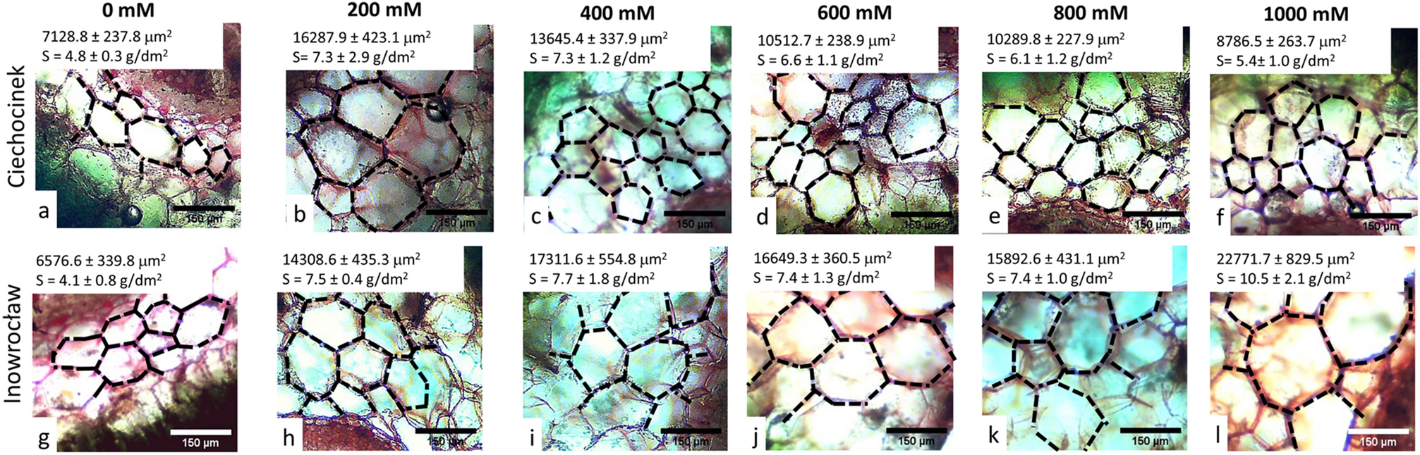 Maternal salinity influences anatomical parameters, pectin content