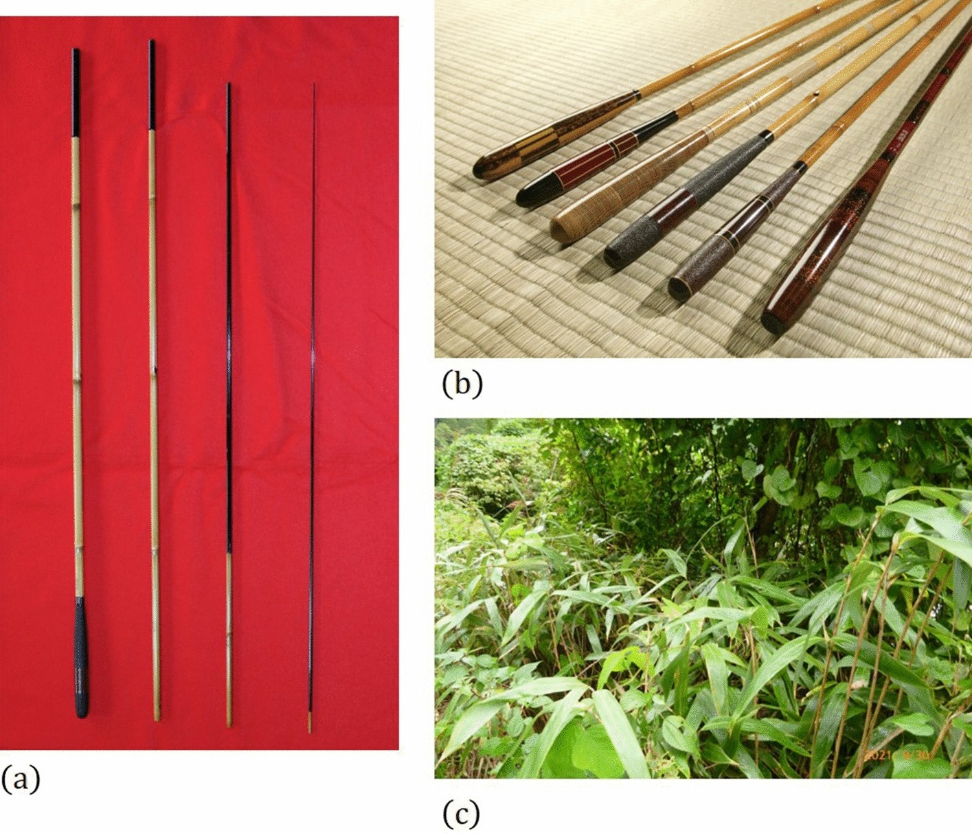 Structural rationalities of tapered hollow cylindrical beams and their use  in Japanese traditional bamboo fishing rods