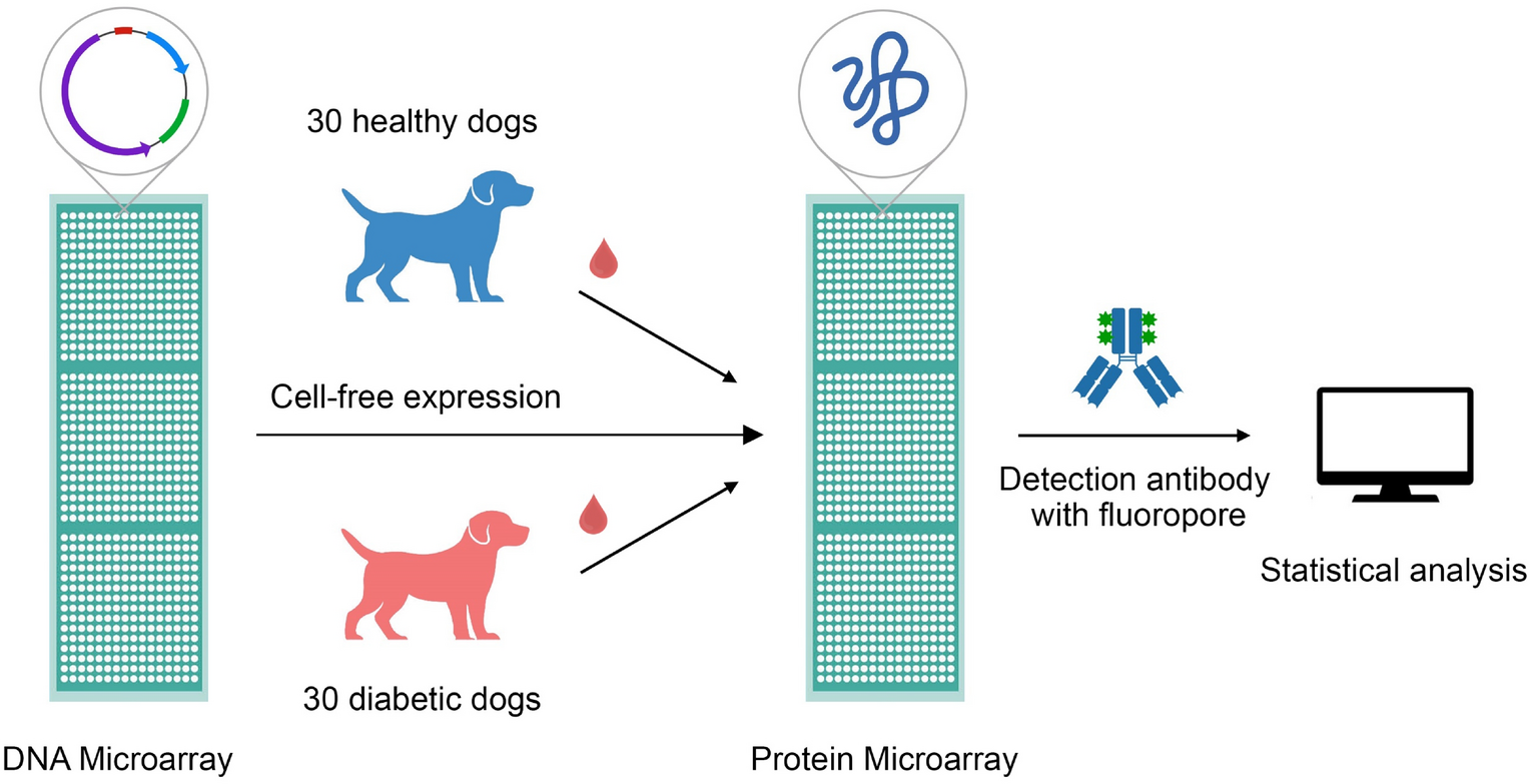 how much does insulin cost for dogs