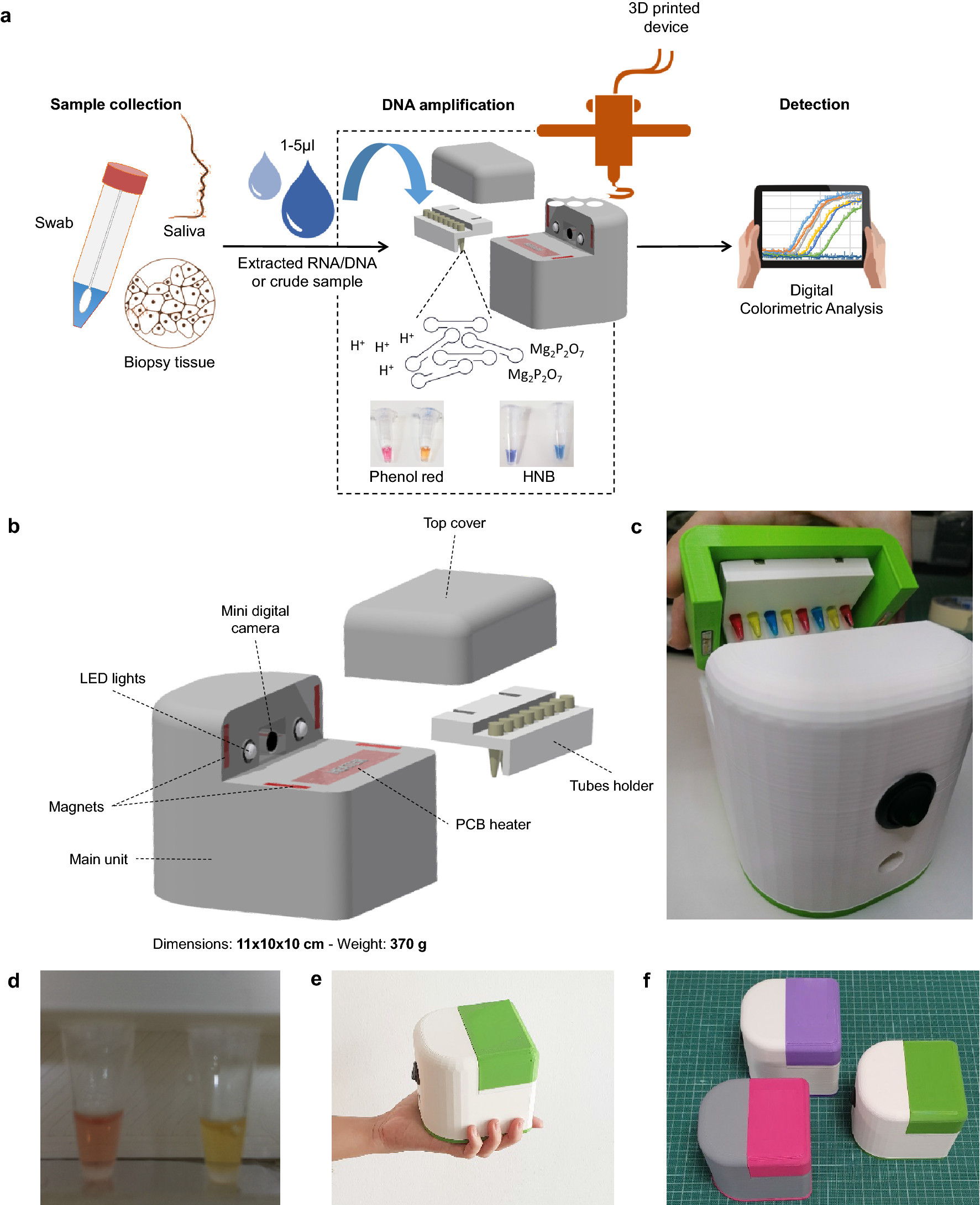 Portable real-time colorimetric LAMP-device for rapid quantitative  detection of nucleic acids in crude samples | Scientific Reports