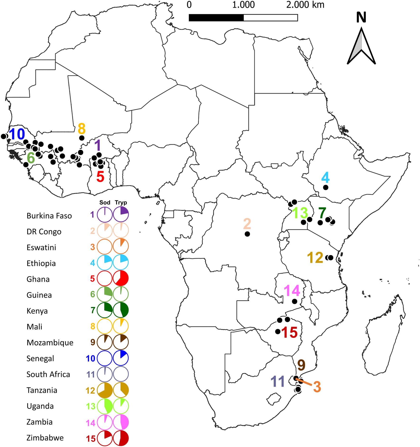 Prevalence of Trypanosoma and Sodalis in wild populations of tsetse flies  and their impact on sterile insect technique programmes for tsetse  eradication | Scientific Reports