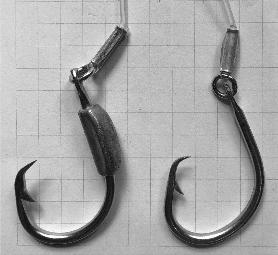 Which tuna hooks for fly lining bait?