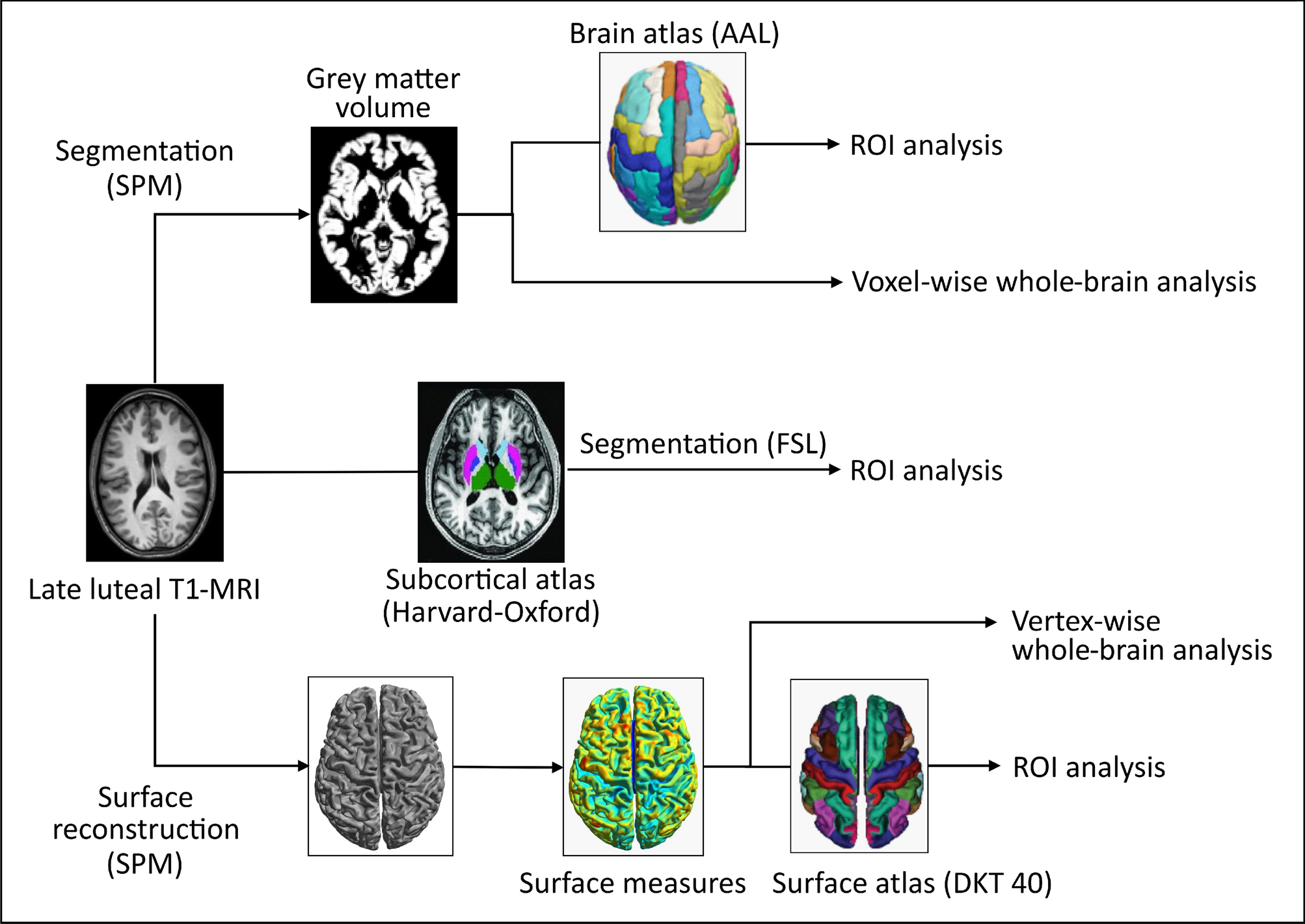 somatization pattern