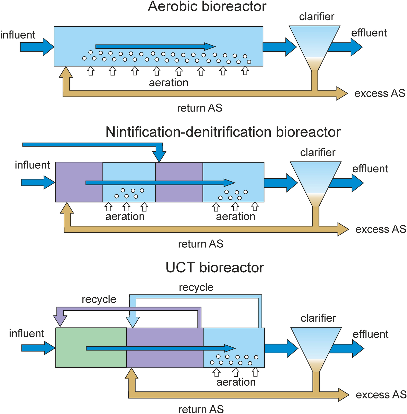 Synergy between Comammox and Anammox Bacteria in Wastewater