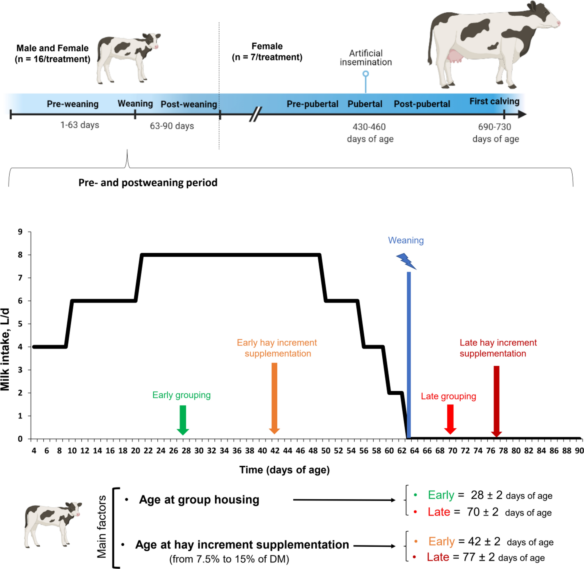 Effects Of Group Housing And Incremental Hay Supplementation In Calf Starters At Different Ages On Growth Performance Behavior And Health Scientific Reports