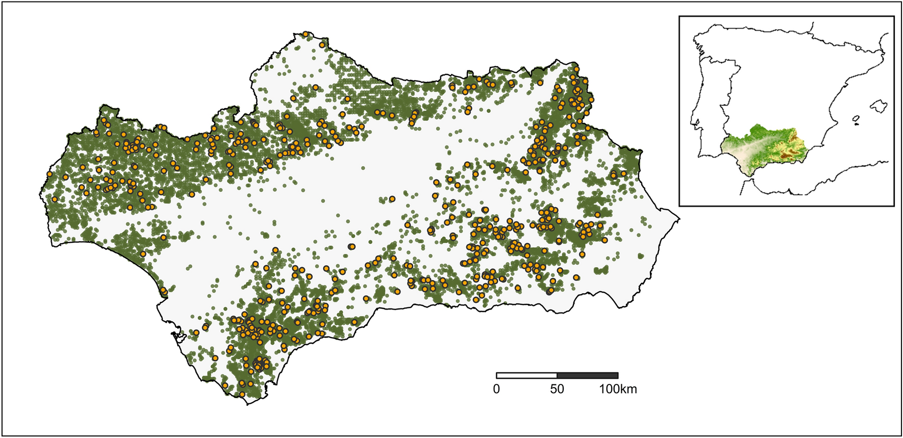 The role of forest structure and composition in driving the distribution of  bats in Mediterranean regions | Scientific Reports