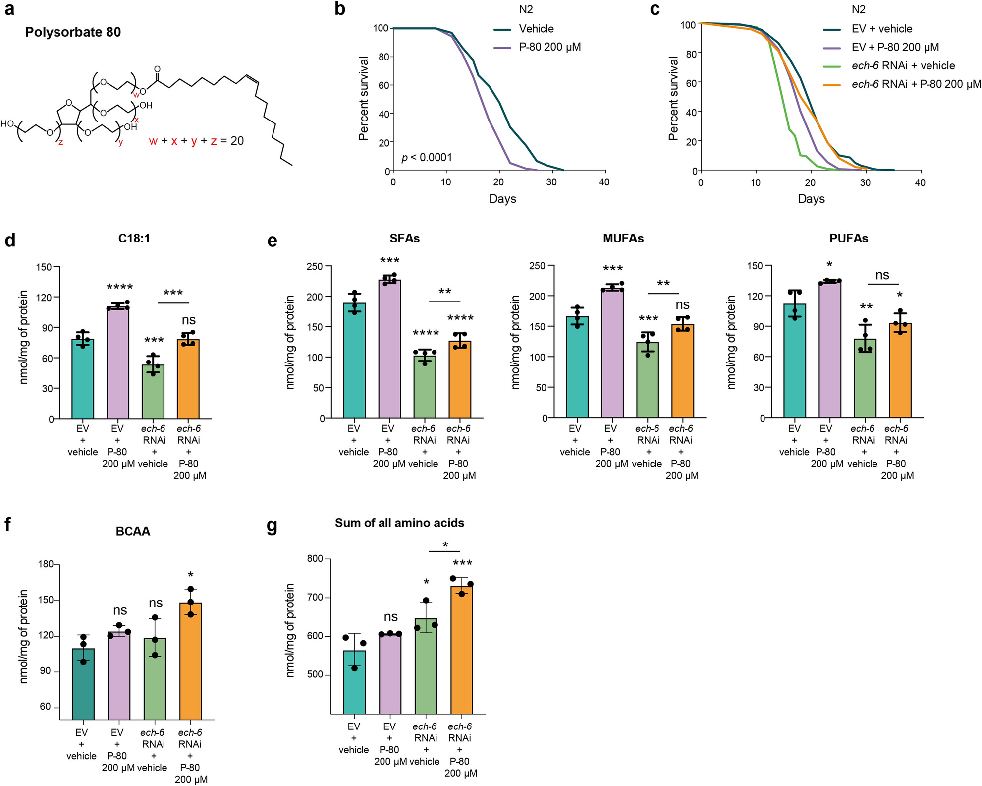 Reduced Ech 6 Expression Attenuates Fat Induced Lifespan Shortening In C Elegans Scientific Reports Reduced Ech 6 Expression Attenuates Fat Induced Lifespan Shortening In C Elegans Scientific Reports