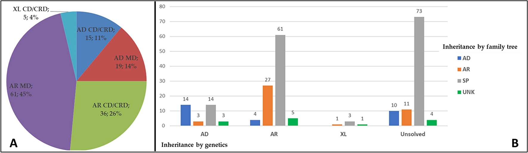 Genetic characteristics of 234 Italian patients with macular and  cone/cone-rod dystrophy | Scientific Reports