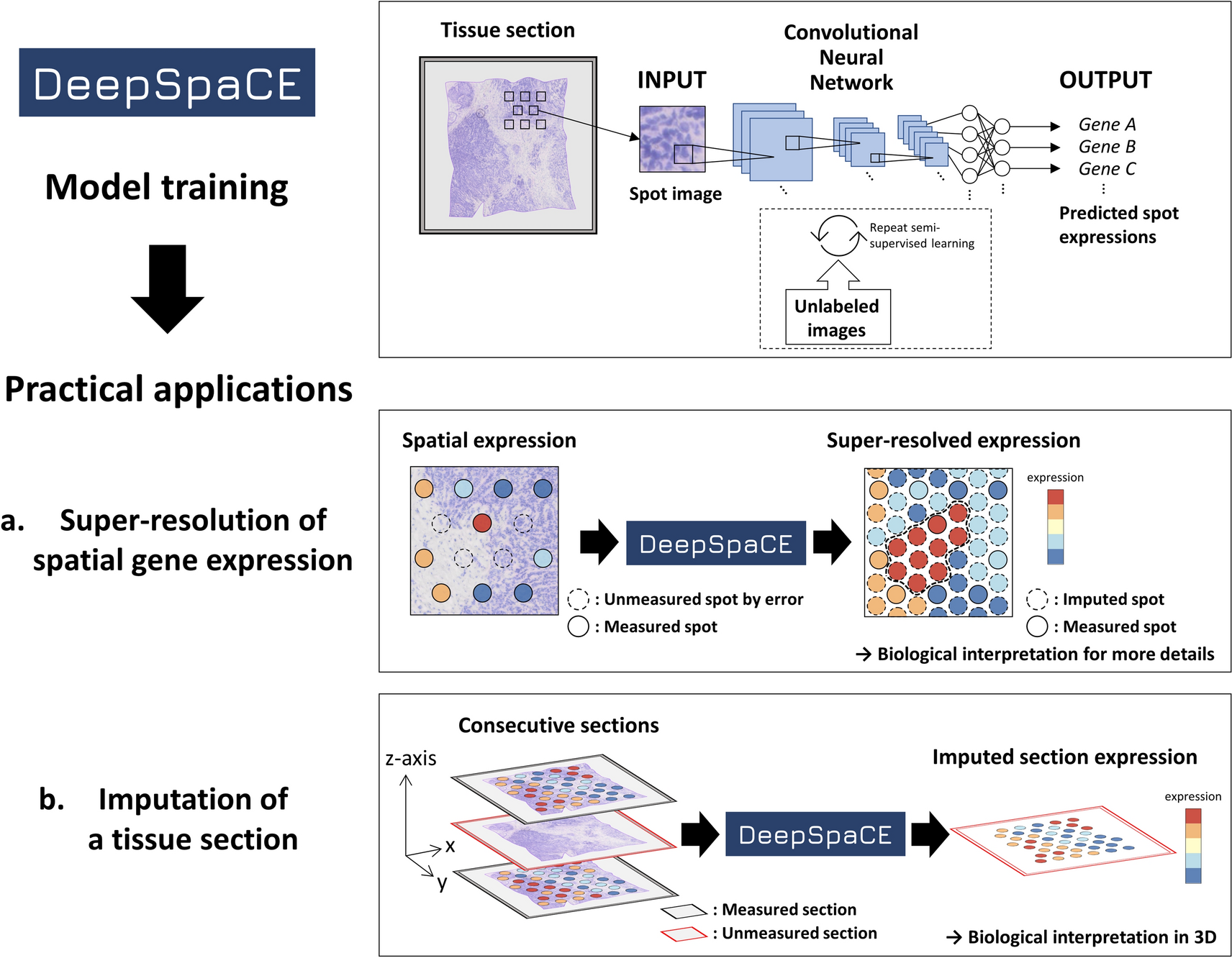 Spatially resolved transcriptomics: advances and applications