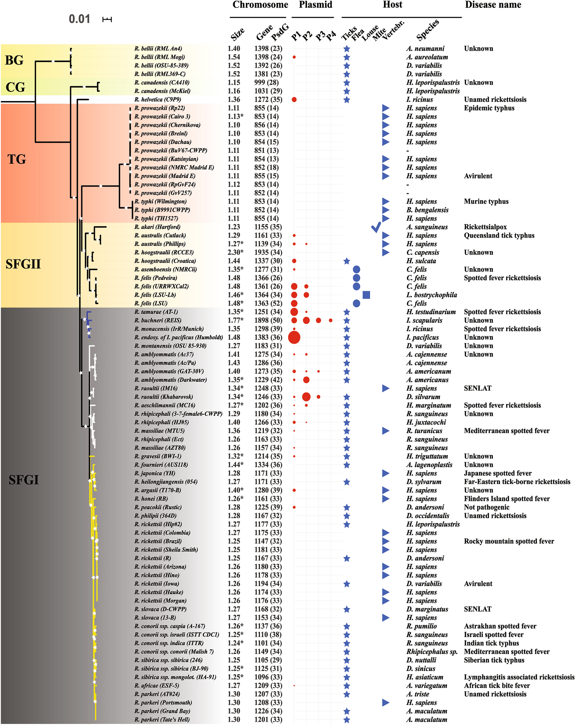 Genomic Evolution And Adaptation Of Arthropod Associated Rickettsia Scientific Reports Genomic Evolution And Adaptation Of Arthropod Associated Rickettsia Scientific Reports