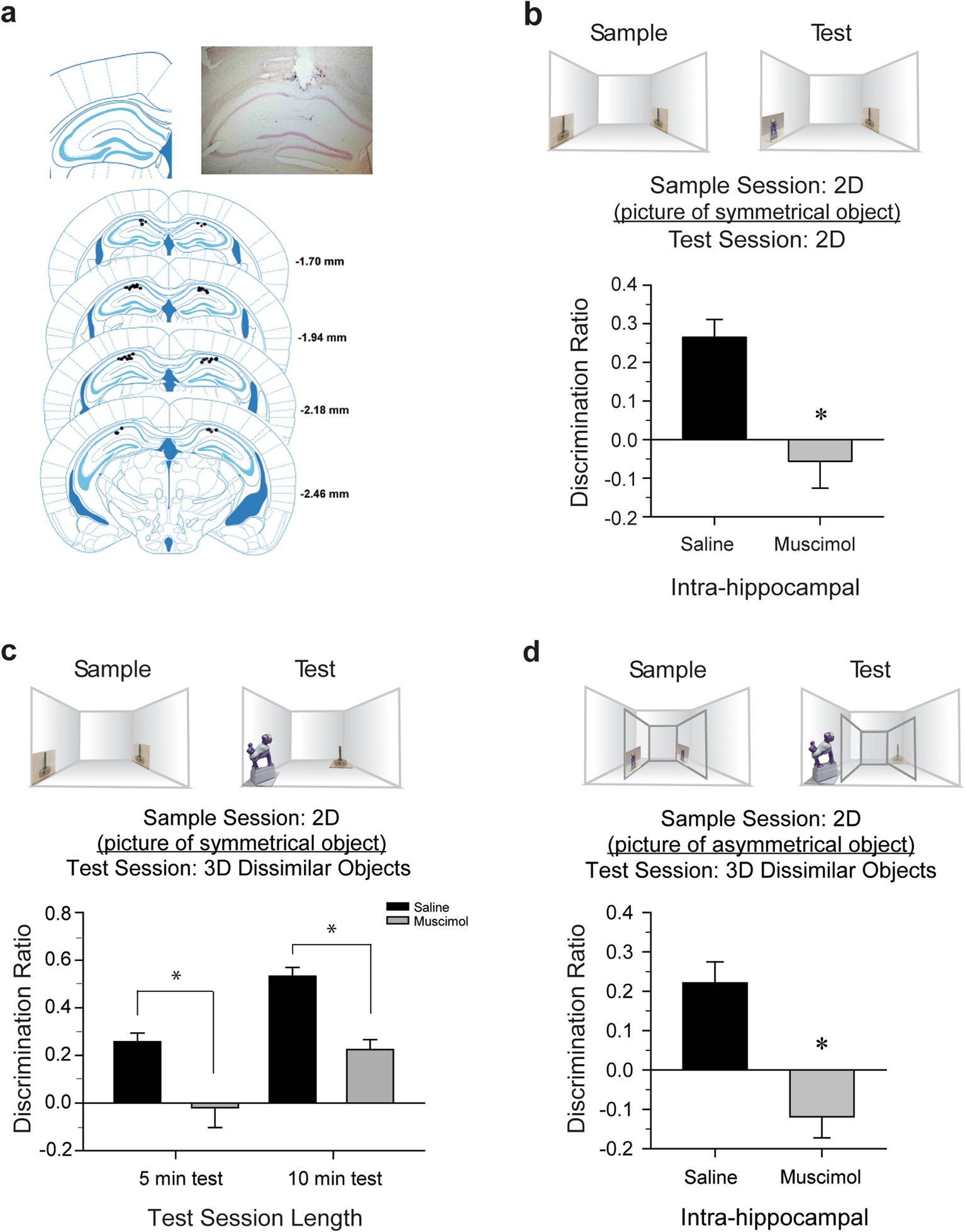 Mice recognize 3D objects from recalled 2D pictures, support for  picture-object equivalence