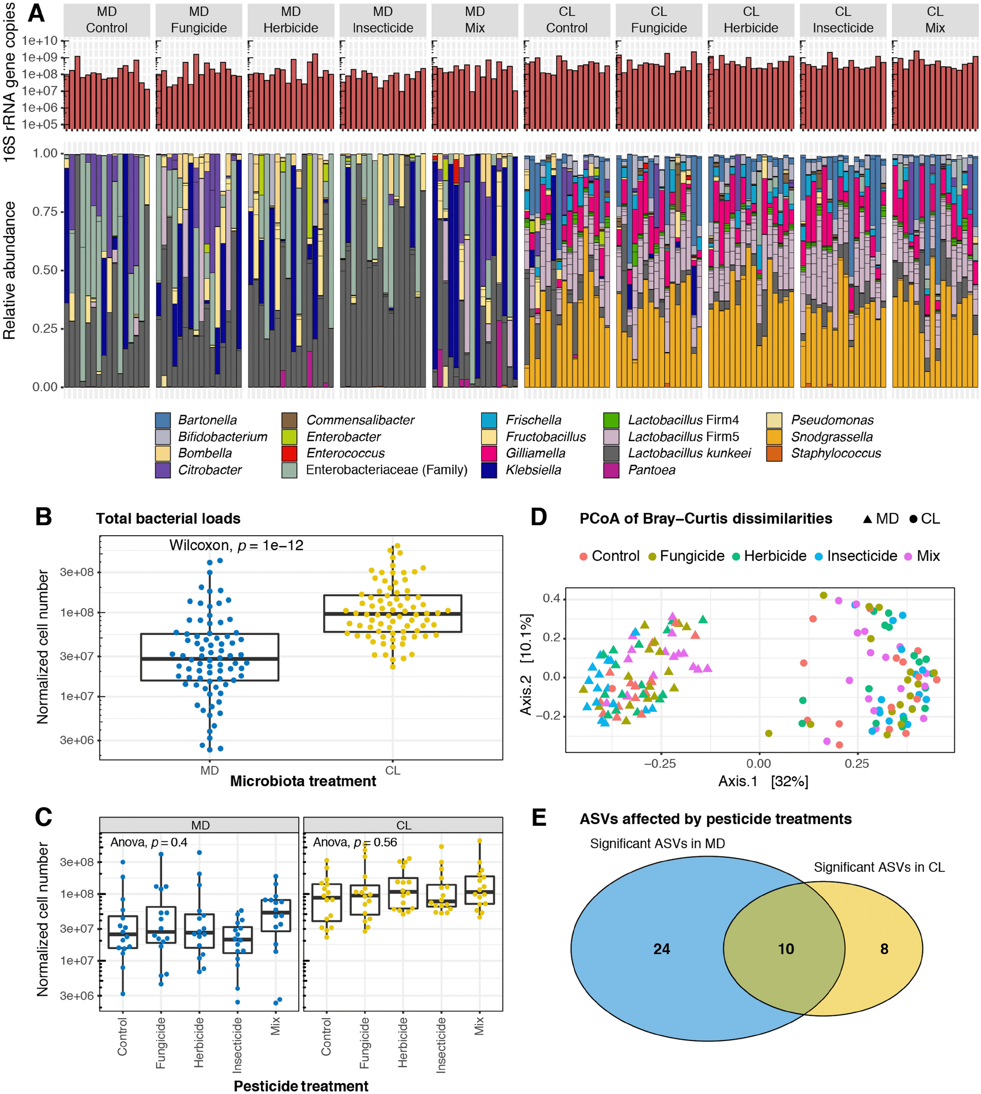 gut microbiota