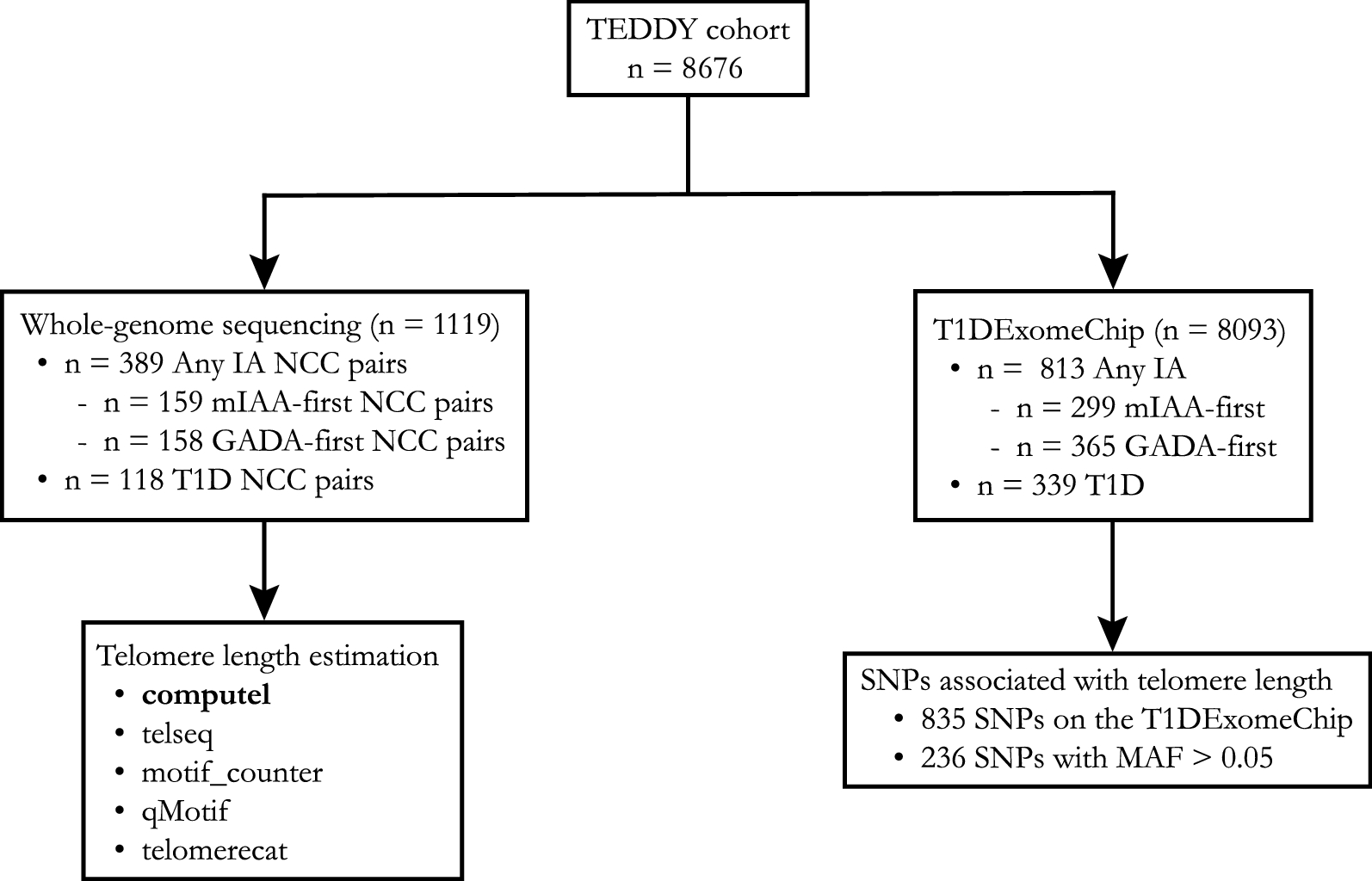 Telomere length is not a main factor for the development of islet autoimmunity and type 1 diabetes in the TEDDY study Scientific Reports