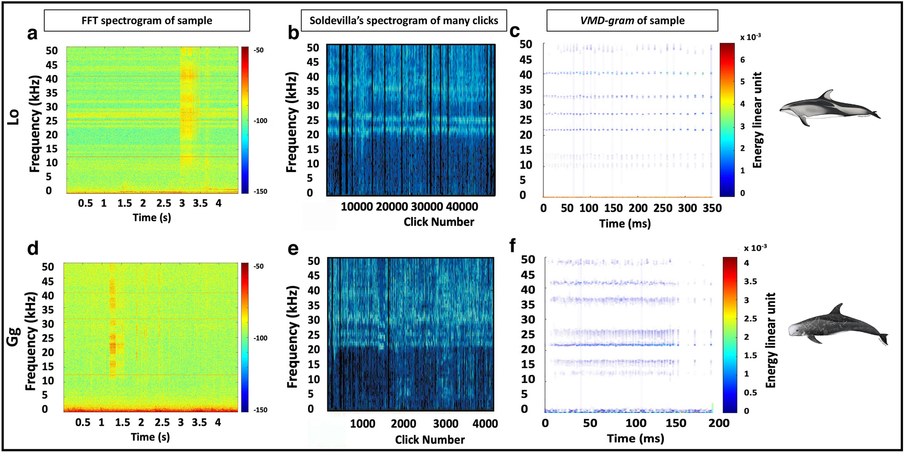 PDF) AQUATIC MAMMALS BIOACOUSTICS IN LATIN AMERICA: PAST, PRESENT