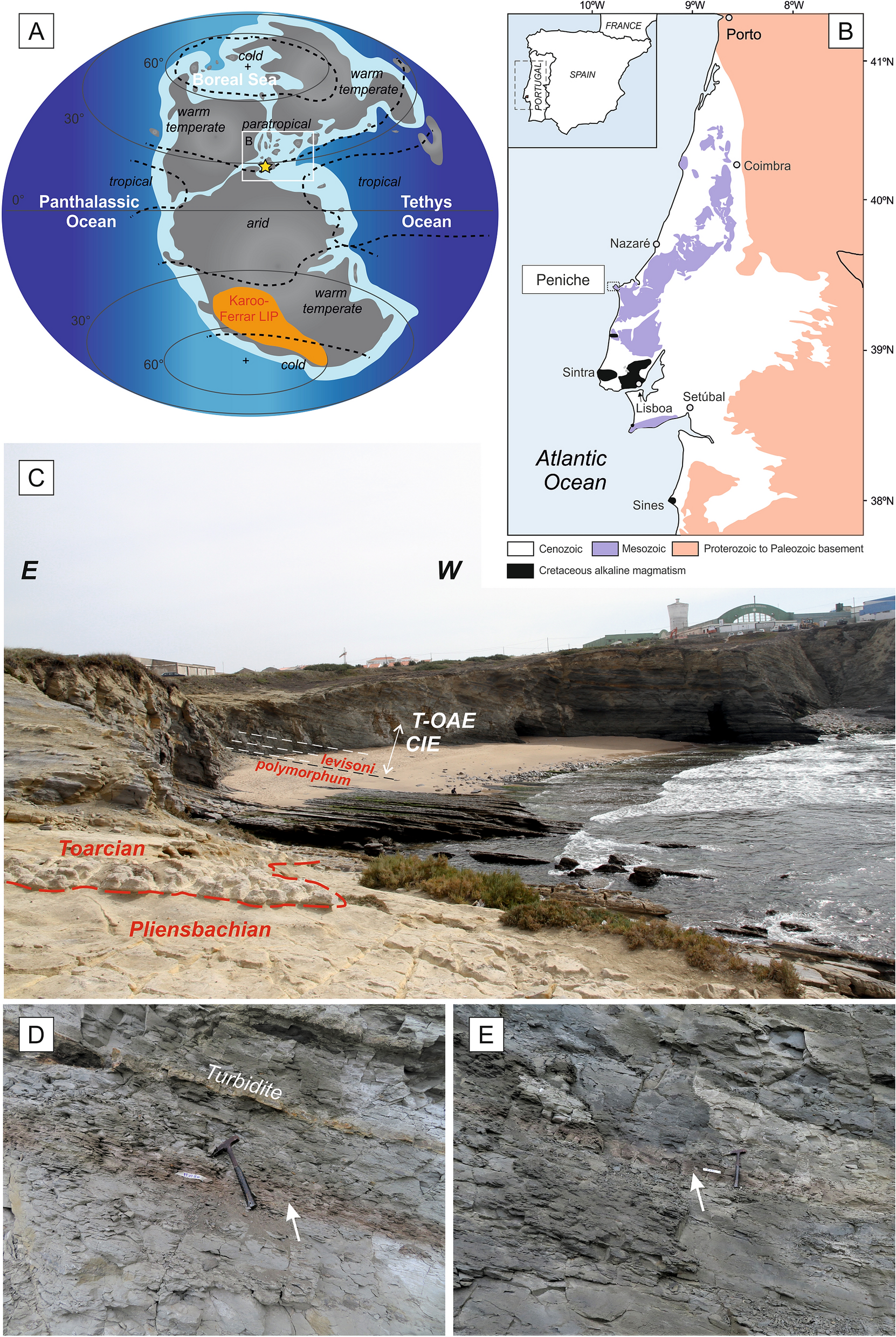 Rapid light carbon releases and increased aridity linked to Karoo–Ferrar  magmatism during the early Toarcian oceanic anoxic event | Scientific  Reports