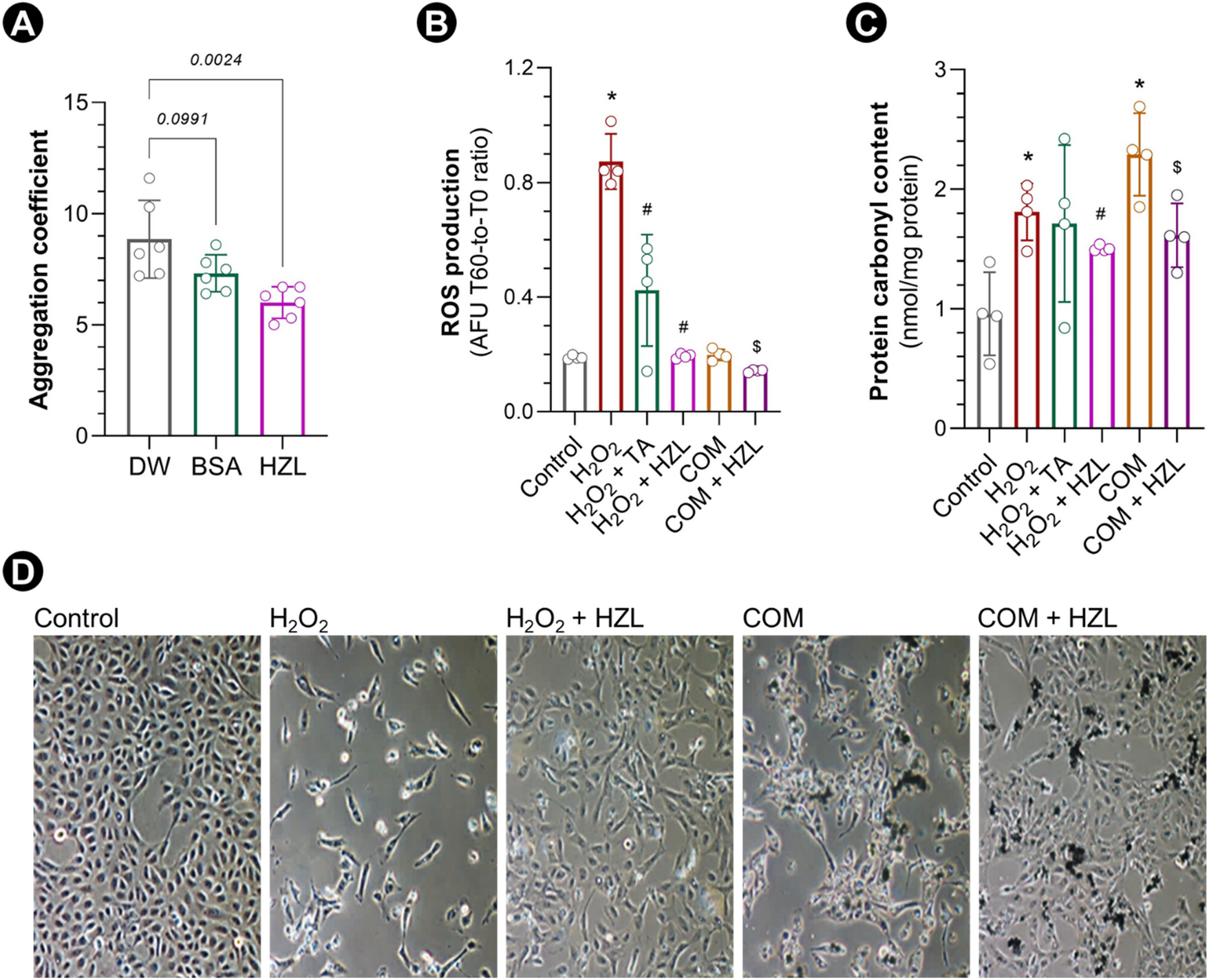 HydroZitLa inhibits calcium oxalate stone formation in nephrolithic rats  and promotes longevity in nematode Caenorhabditis elegans | Scientific  Reports