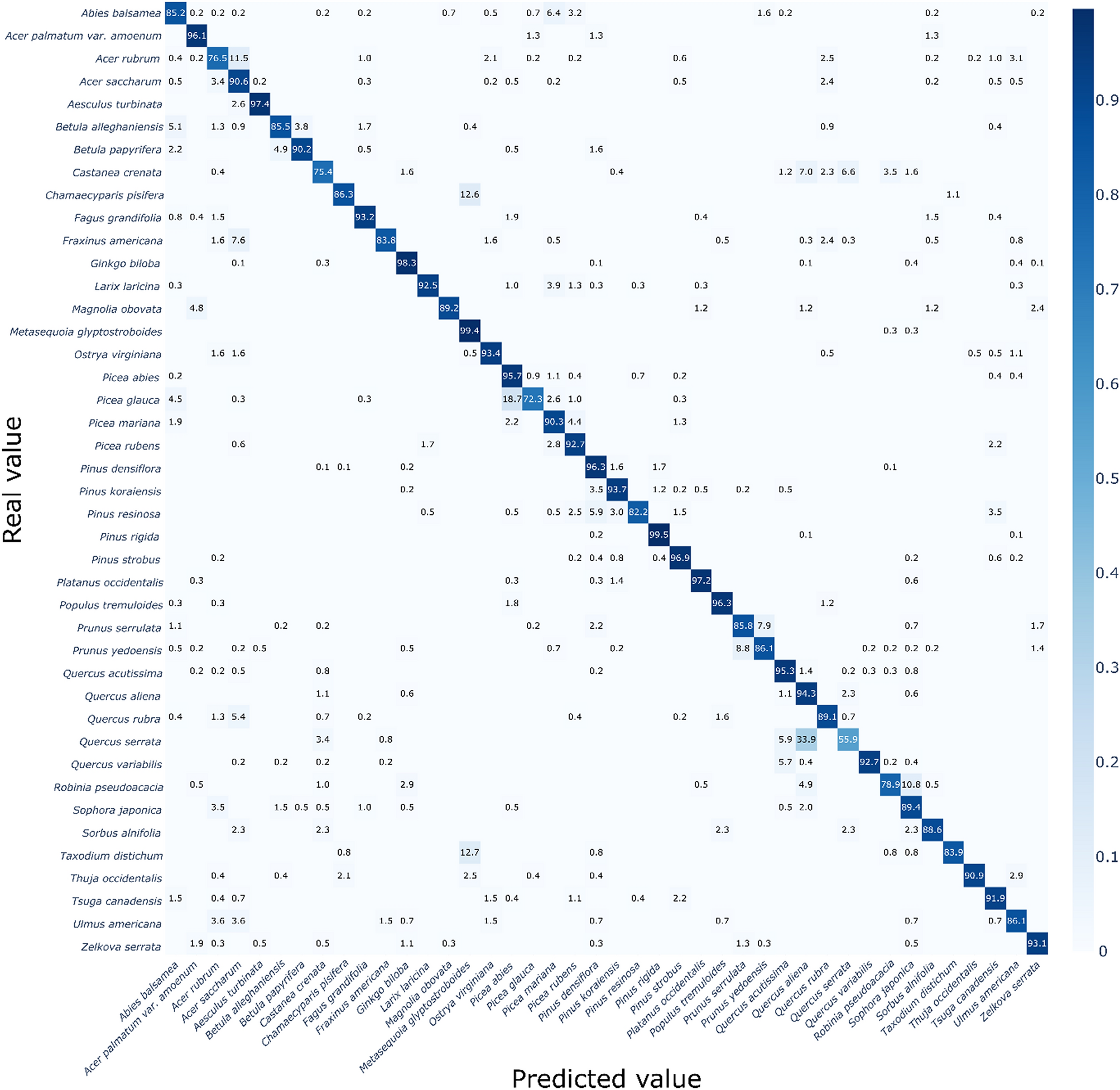 Identifying and extracting bark key