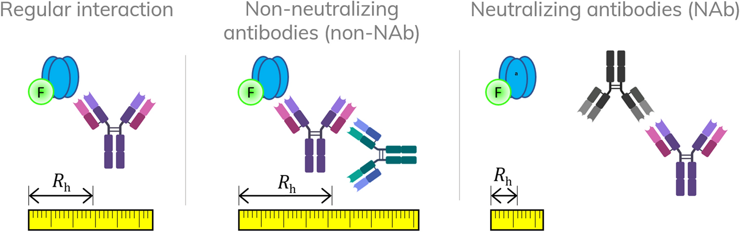 Validation of an anti-α-Gal IgE fluoroenzyme-immunoassay for the screening  of patients at risk of severe anaphylaxis to cetuximab, BMC Cancer