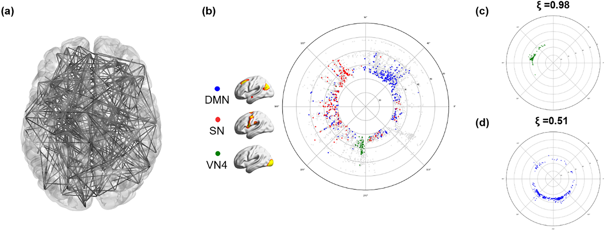 Characteristic functional cores revealed by hyperbolic disc embedding and  k-core percolation on resting-state fMRI | Scientific Reports