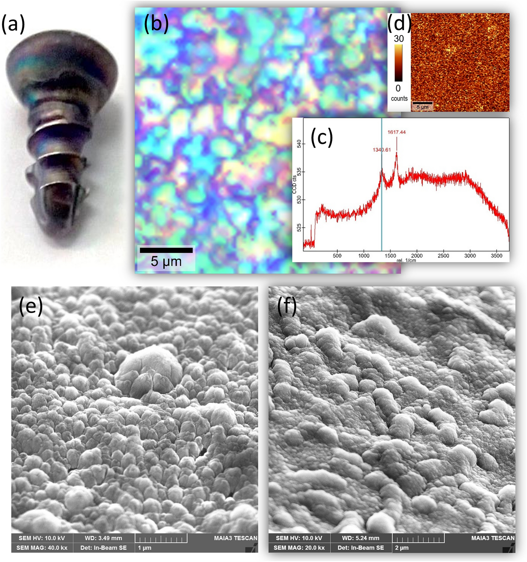 Coating Ti6Al4V implants with nanocrystalline diamond functionalized with BMP-7 promotes extracellular matrix mineralization in vitro and faster osseointegration in vivo Scientific Reports